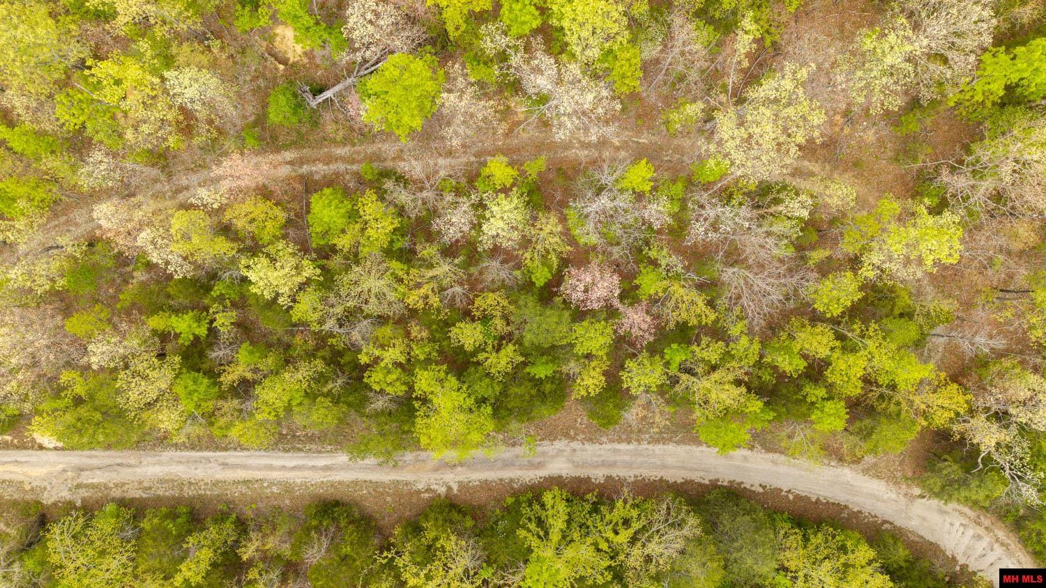 010054730000100 Fife Lane