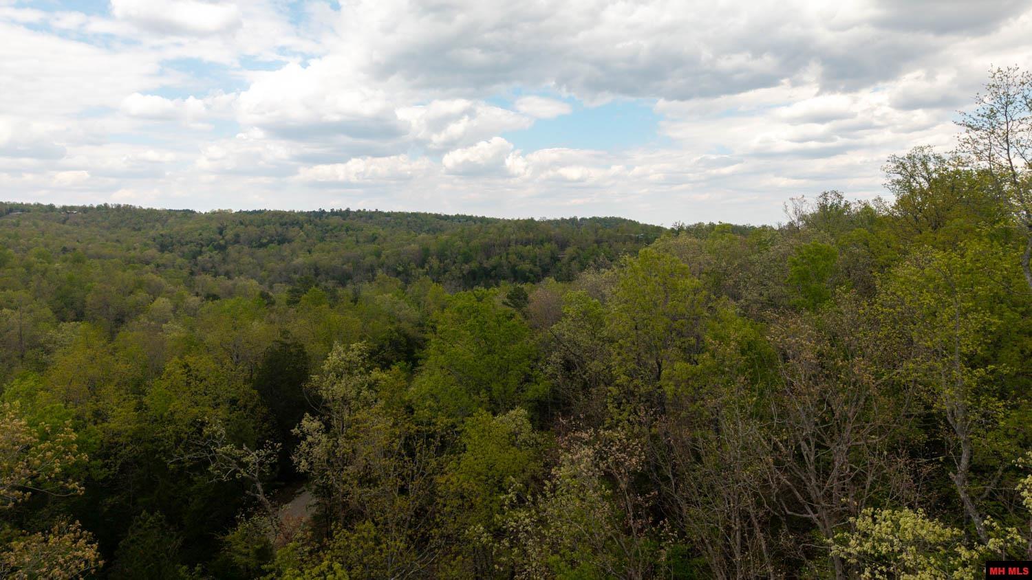 010054730000100 Fife Lane