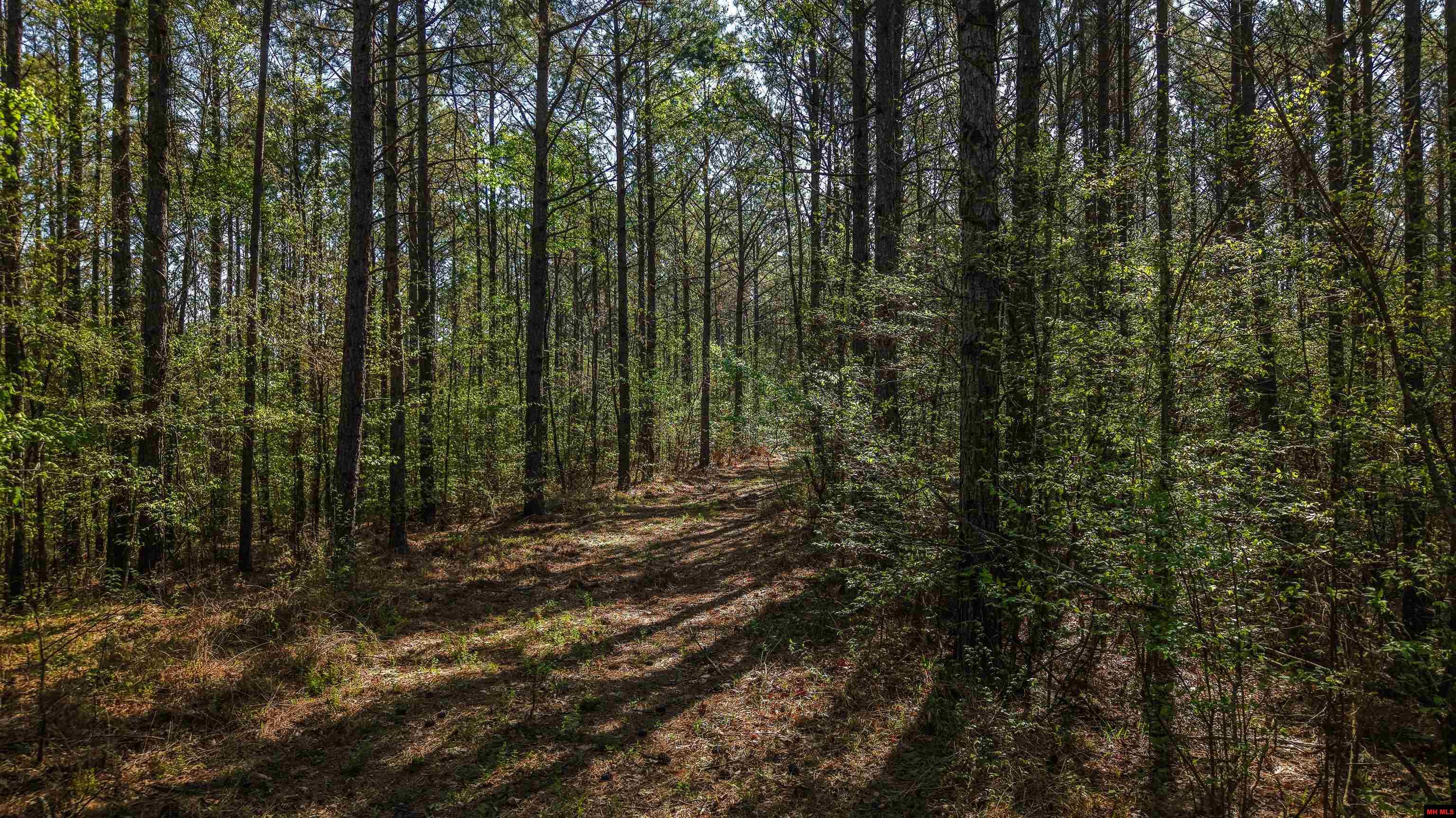 001-06196-000 Campbell Road