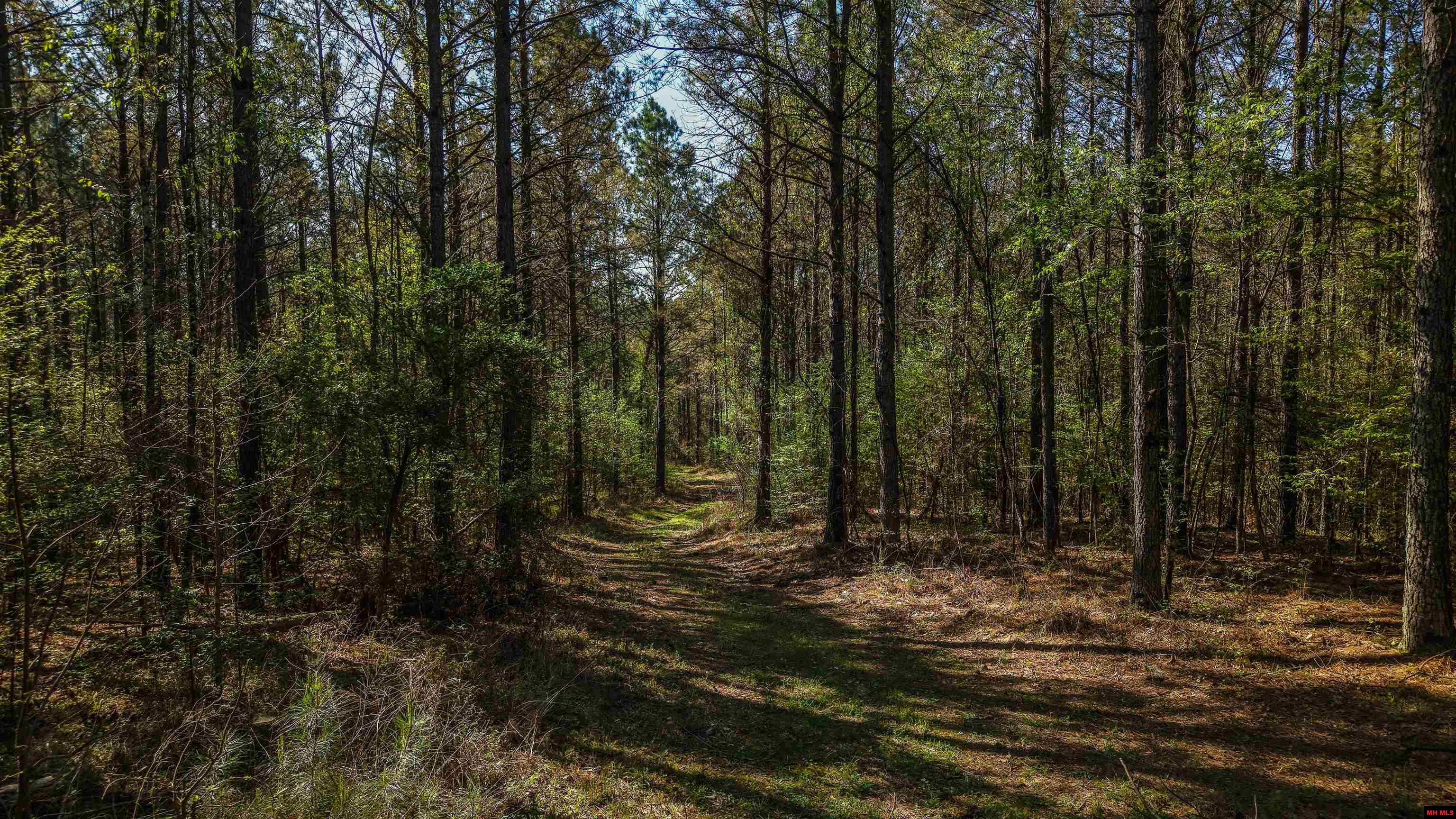 001-06196-000 Campbell Road