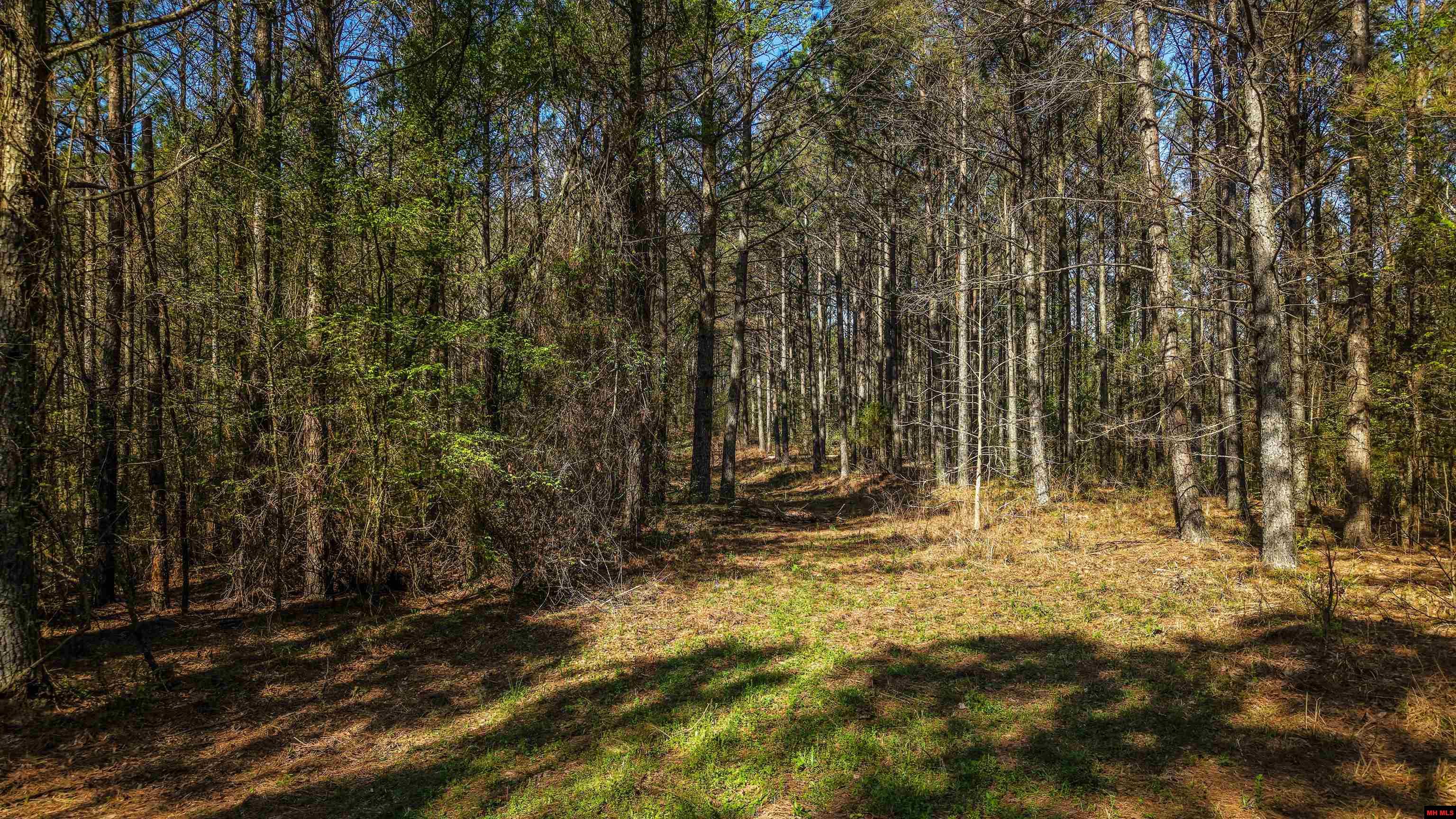 001-06196-000 Campbell Road