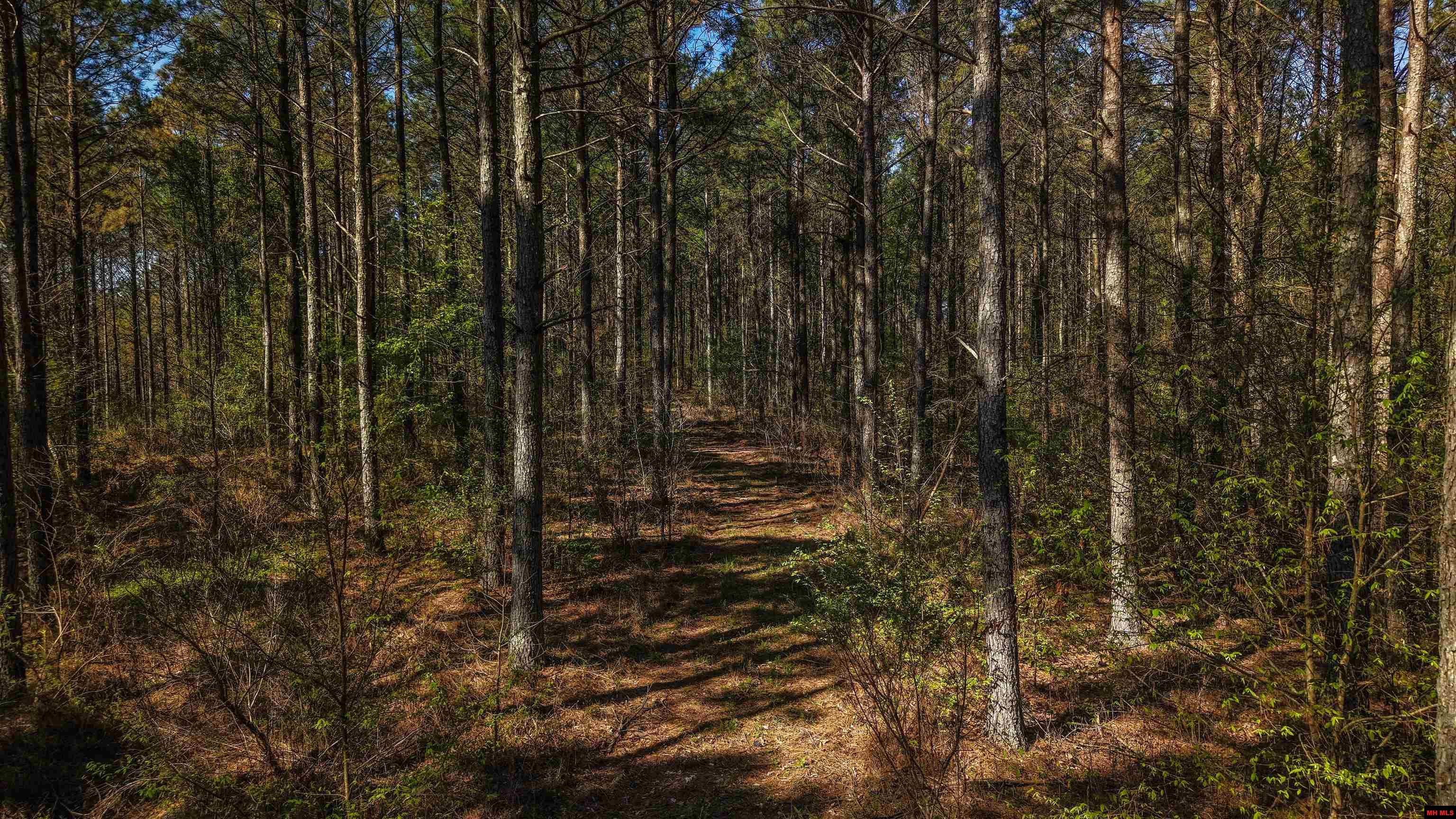 001-06196-000 Campbell Road