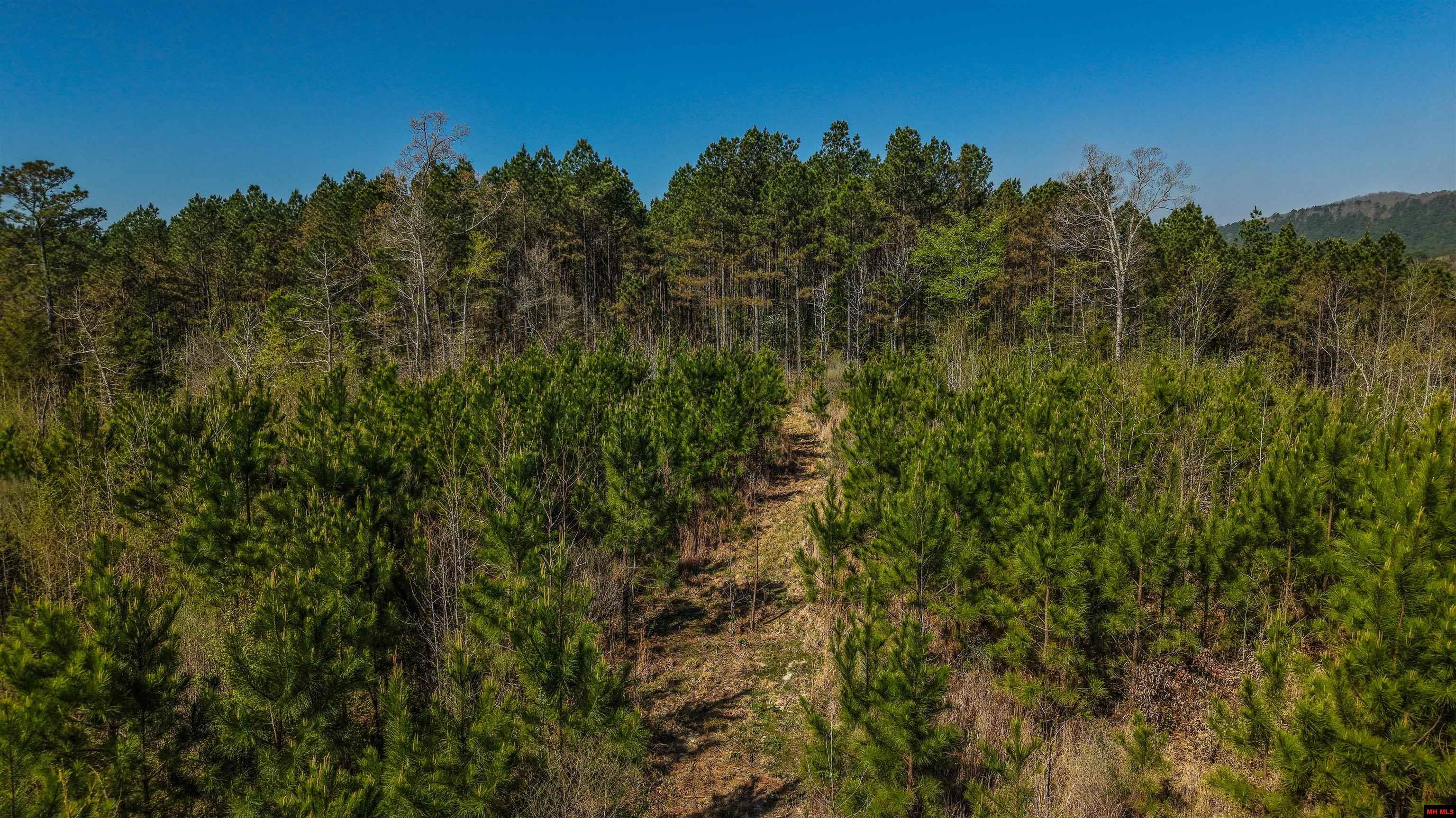 001-06196-000 Campbell Road