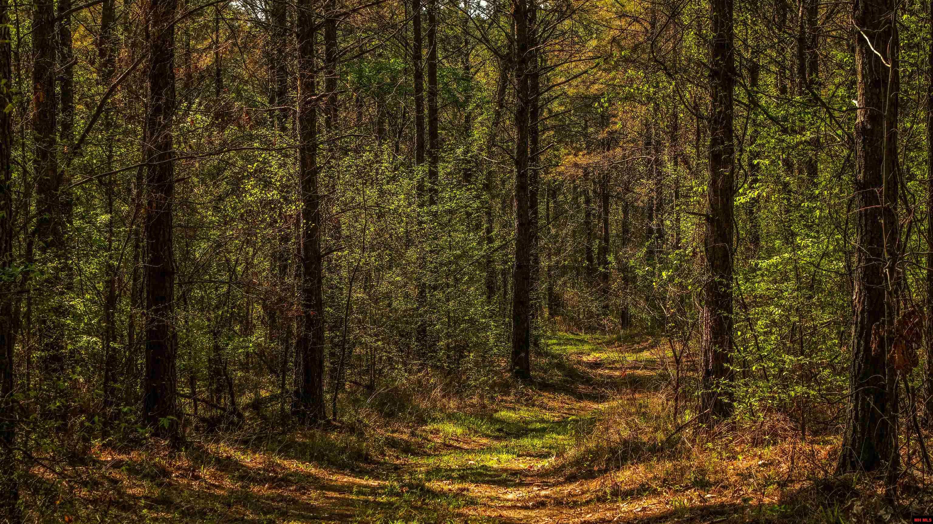 001-06196-000 Campbell Road