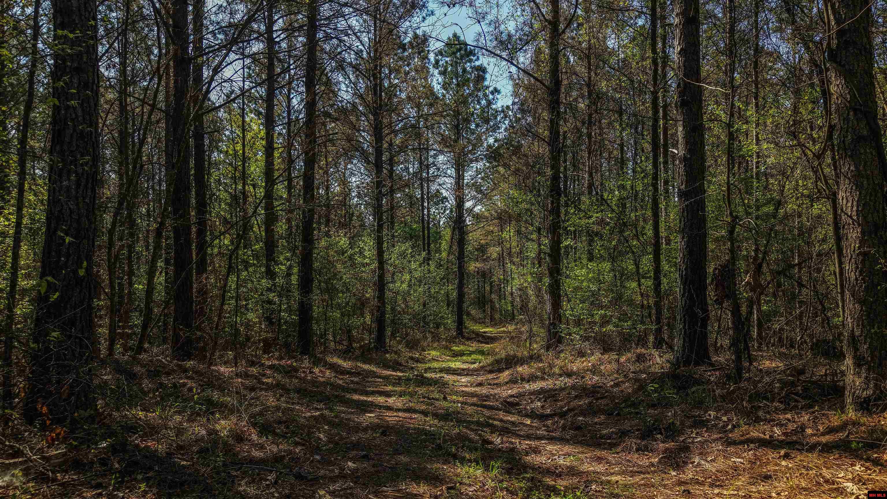 001-06196-000 Campbell Road