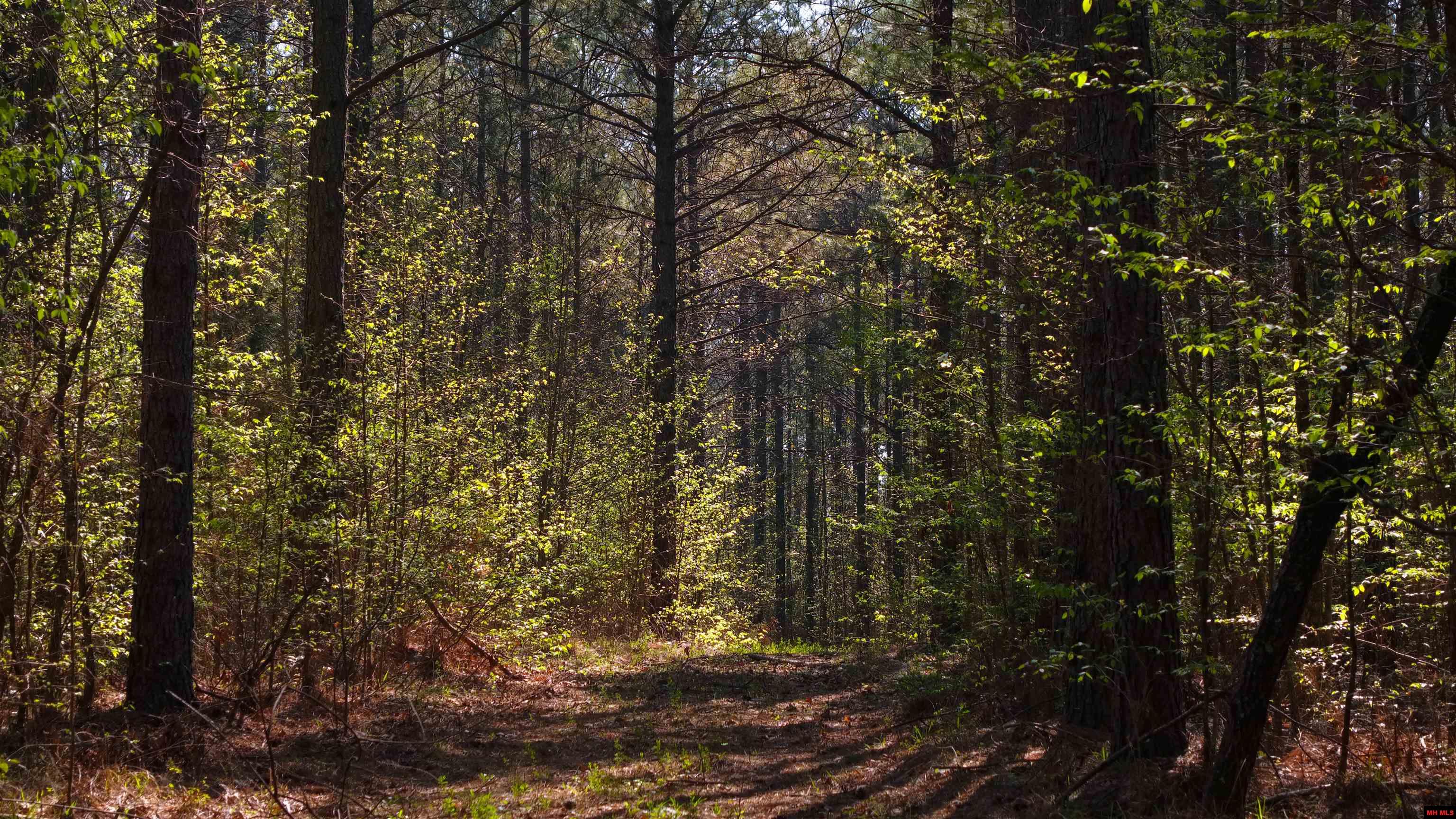 001-06196-000 Campbell Road