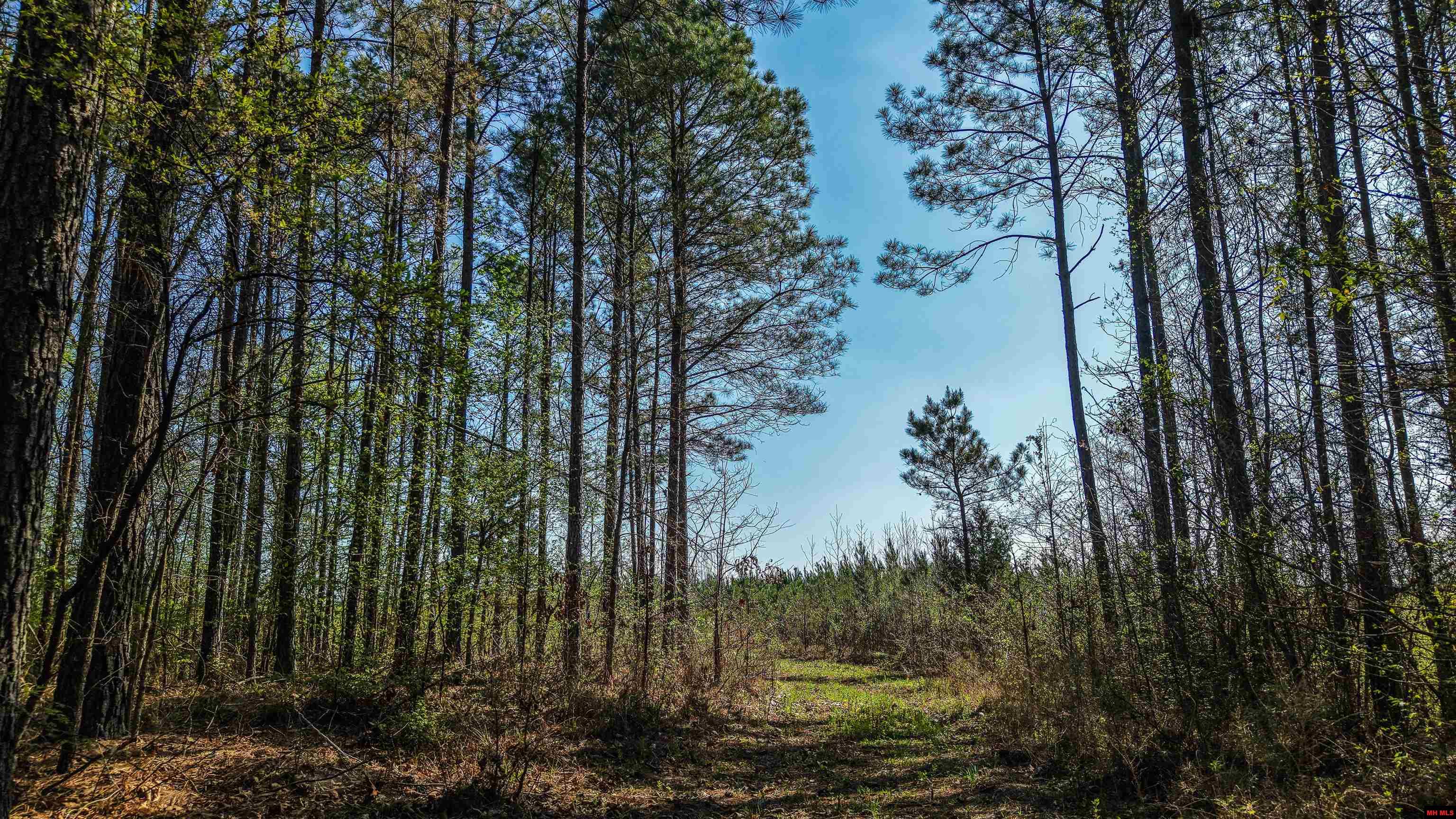 001-06196-000 Campbell Road