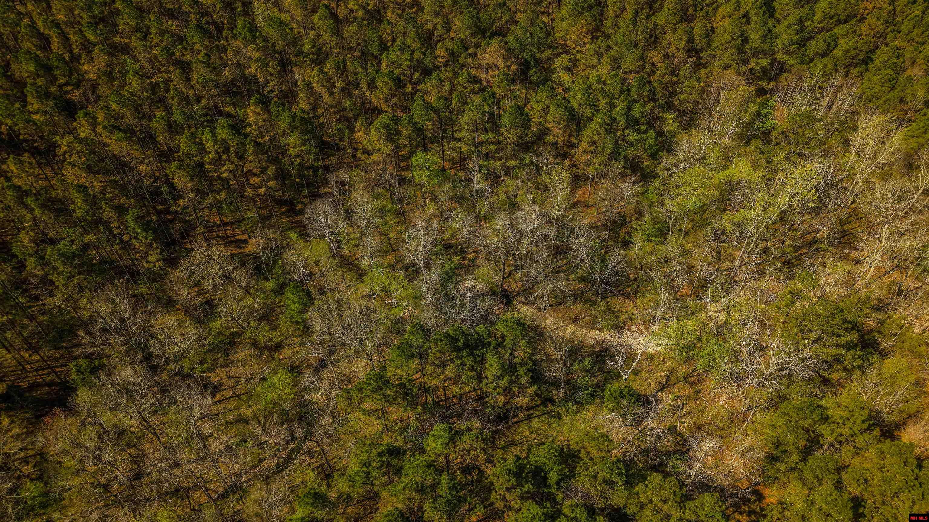 001-06196-000 Campbell Road