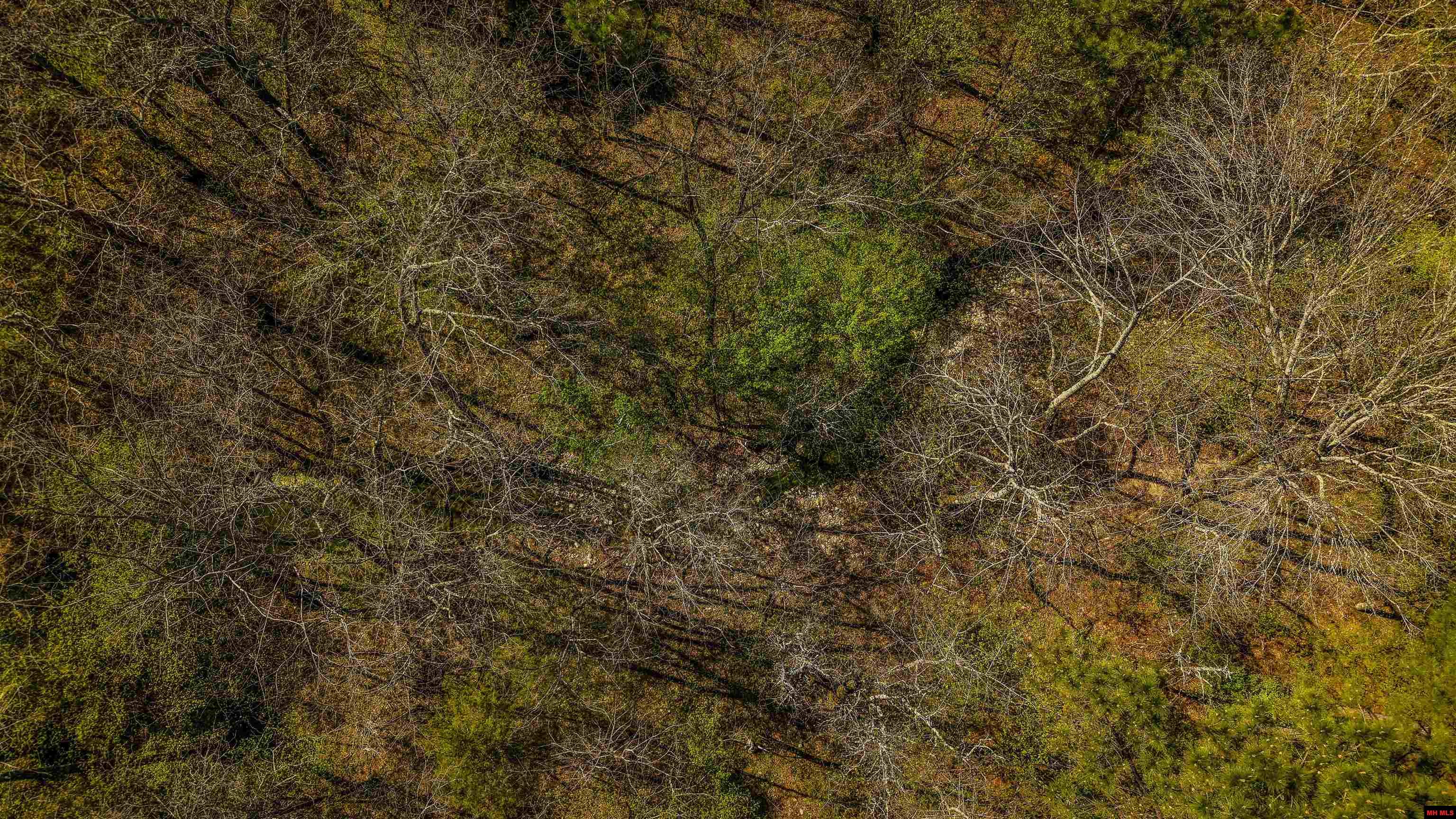 001-06196-000 Campbell Road