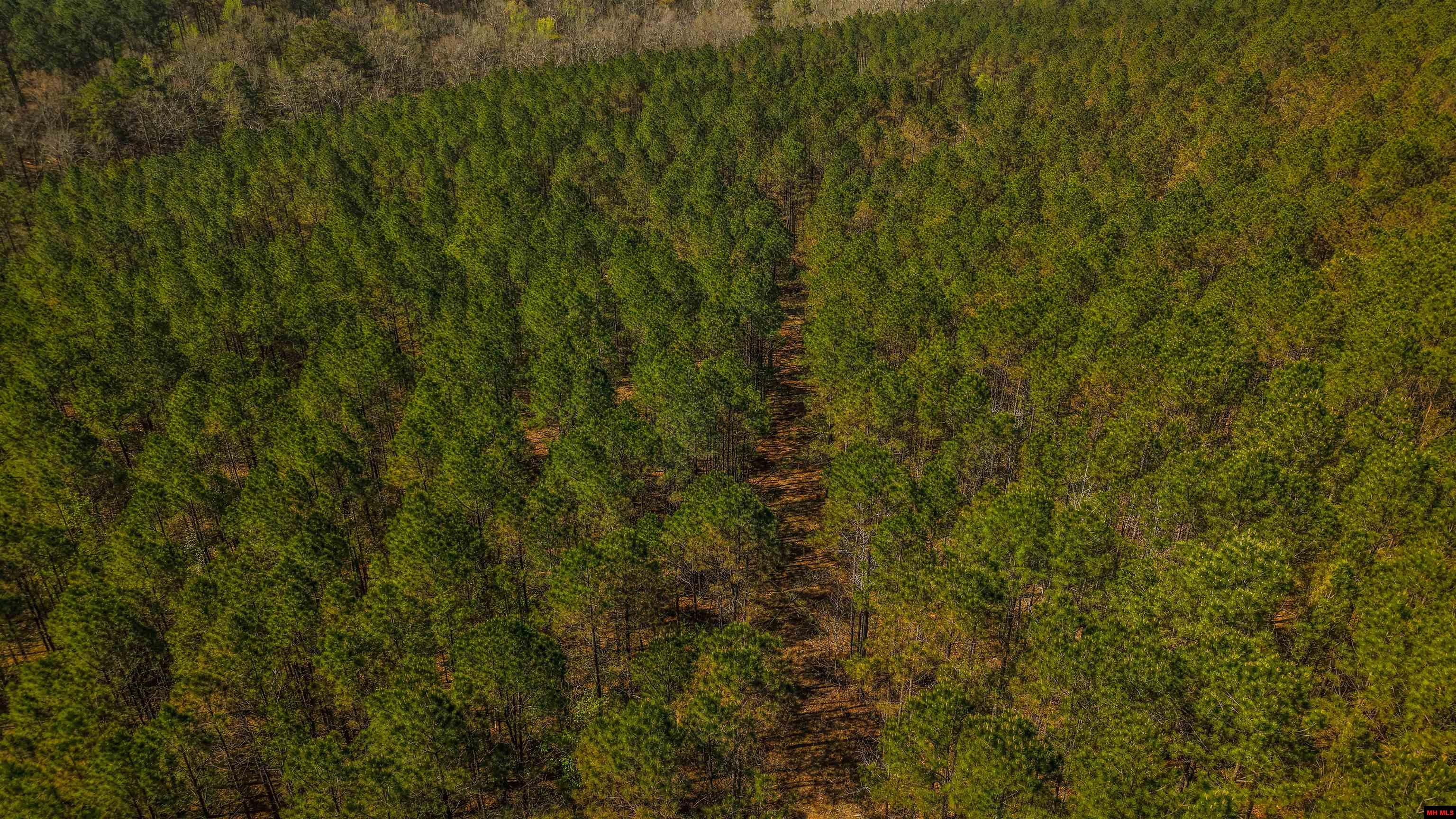 001-06196-000 Campbell Road