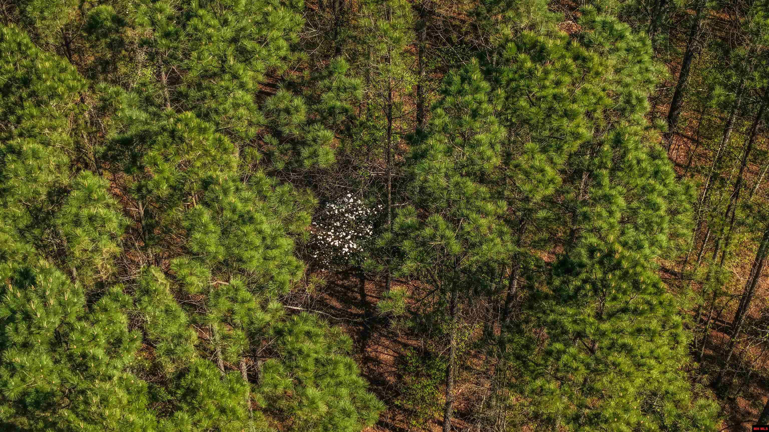 001-06196-000 Campbell Road