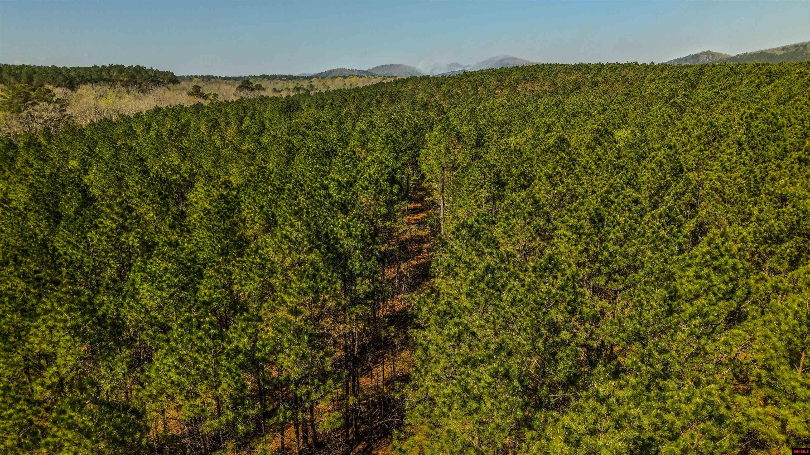 001-06196-000 Campbell Road