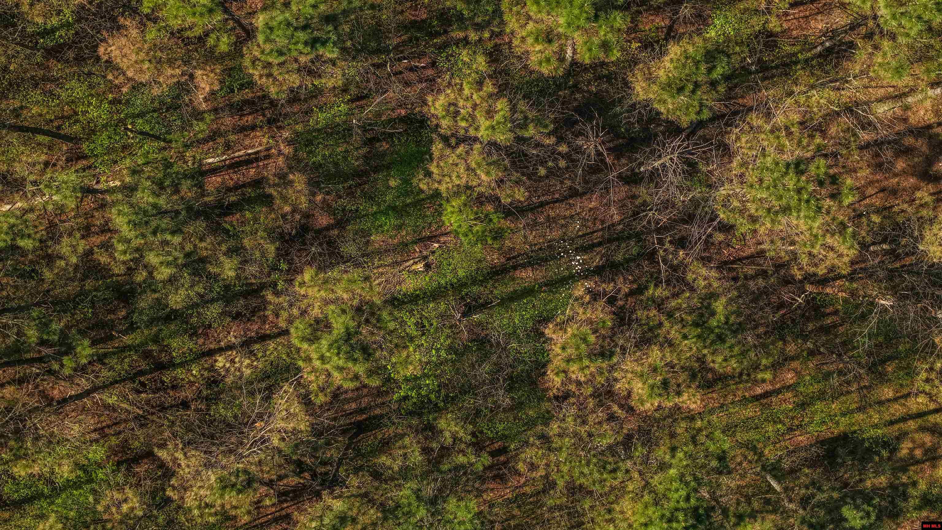 001-06196-000 Campbell Road