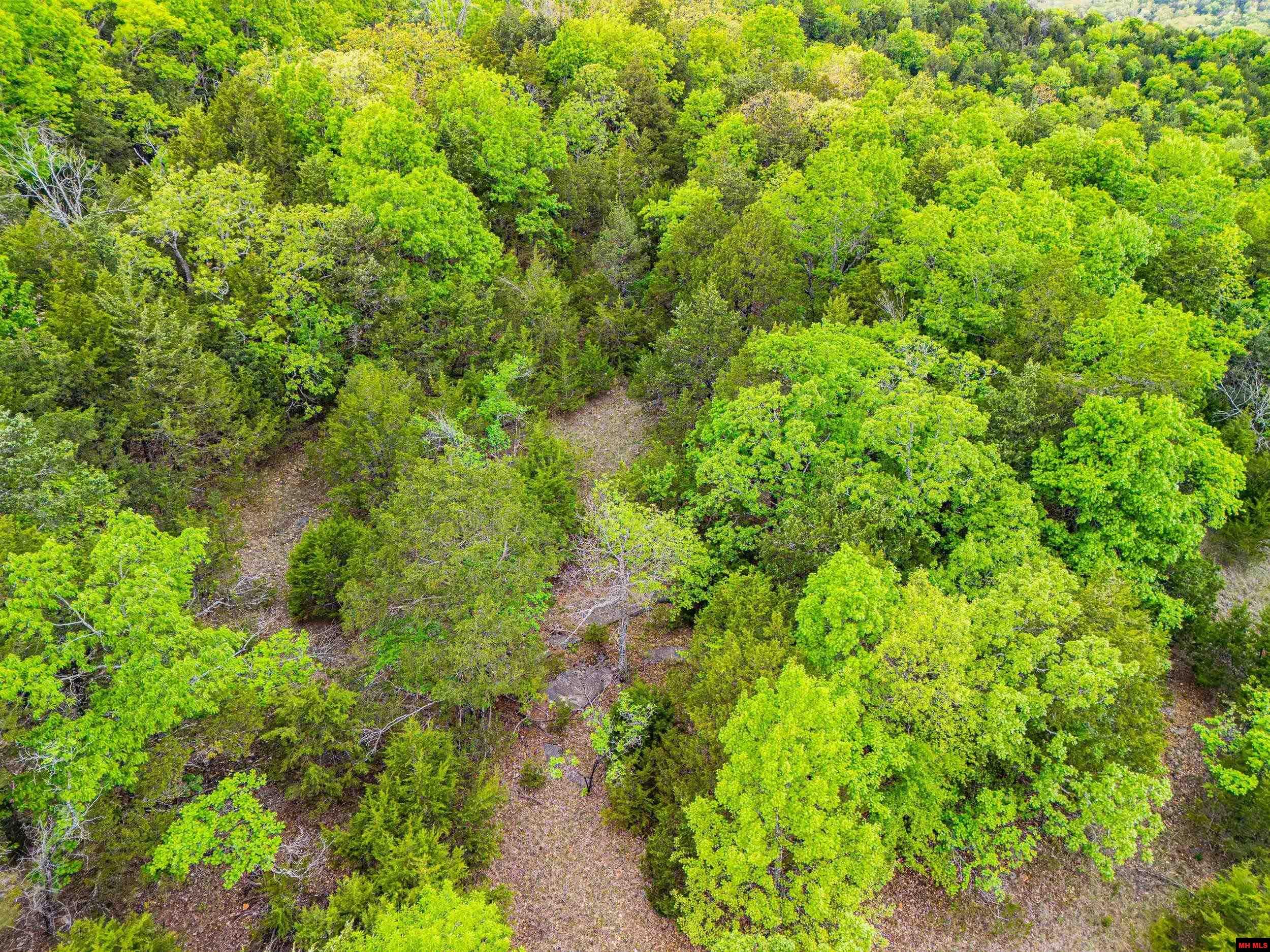 001-03122-000 Mc 125