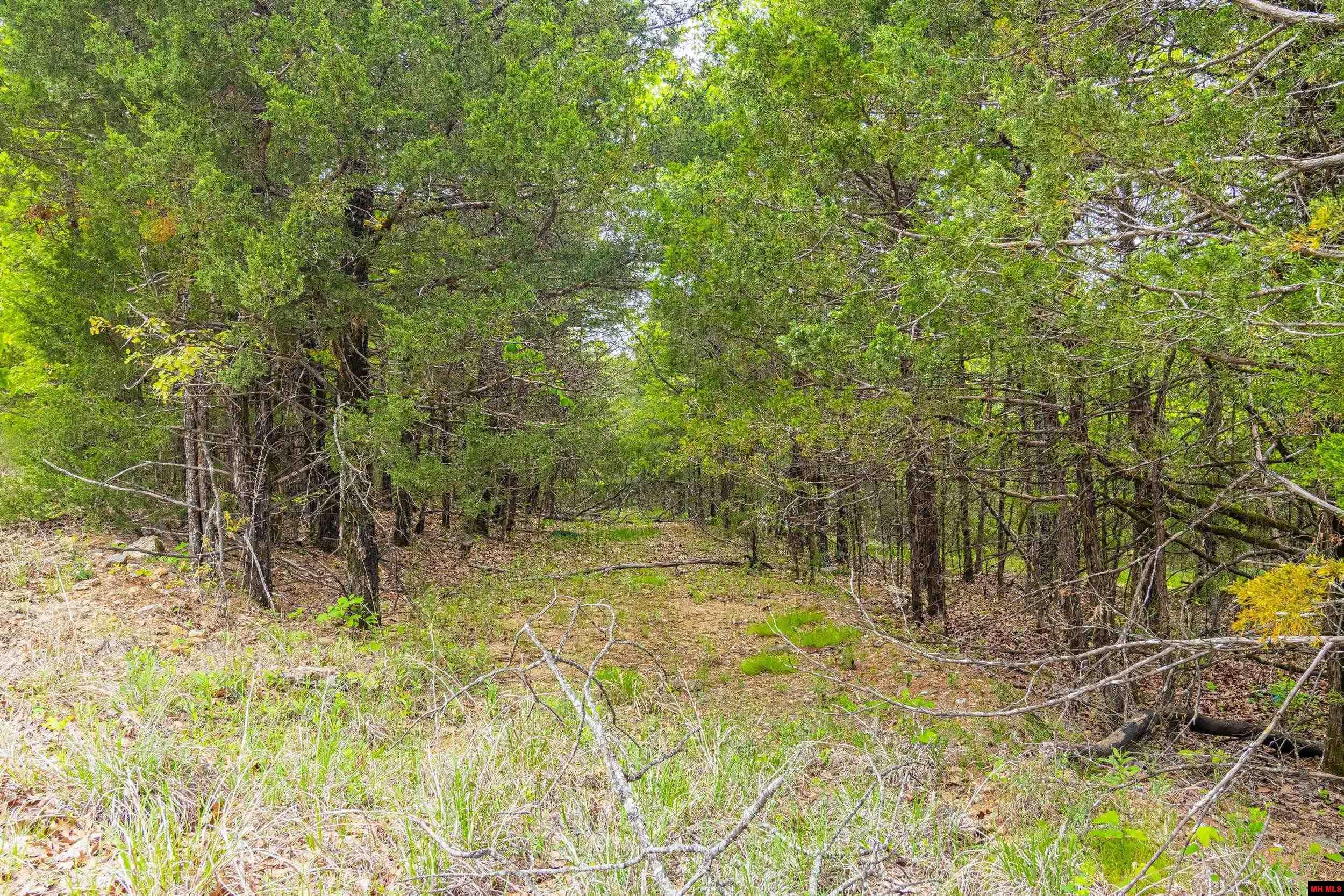 001-03122-000 Mc 125