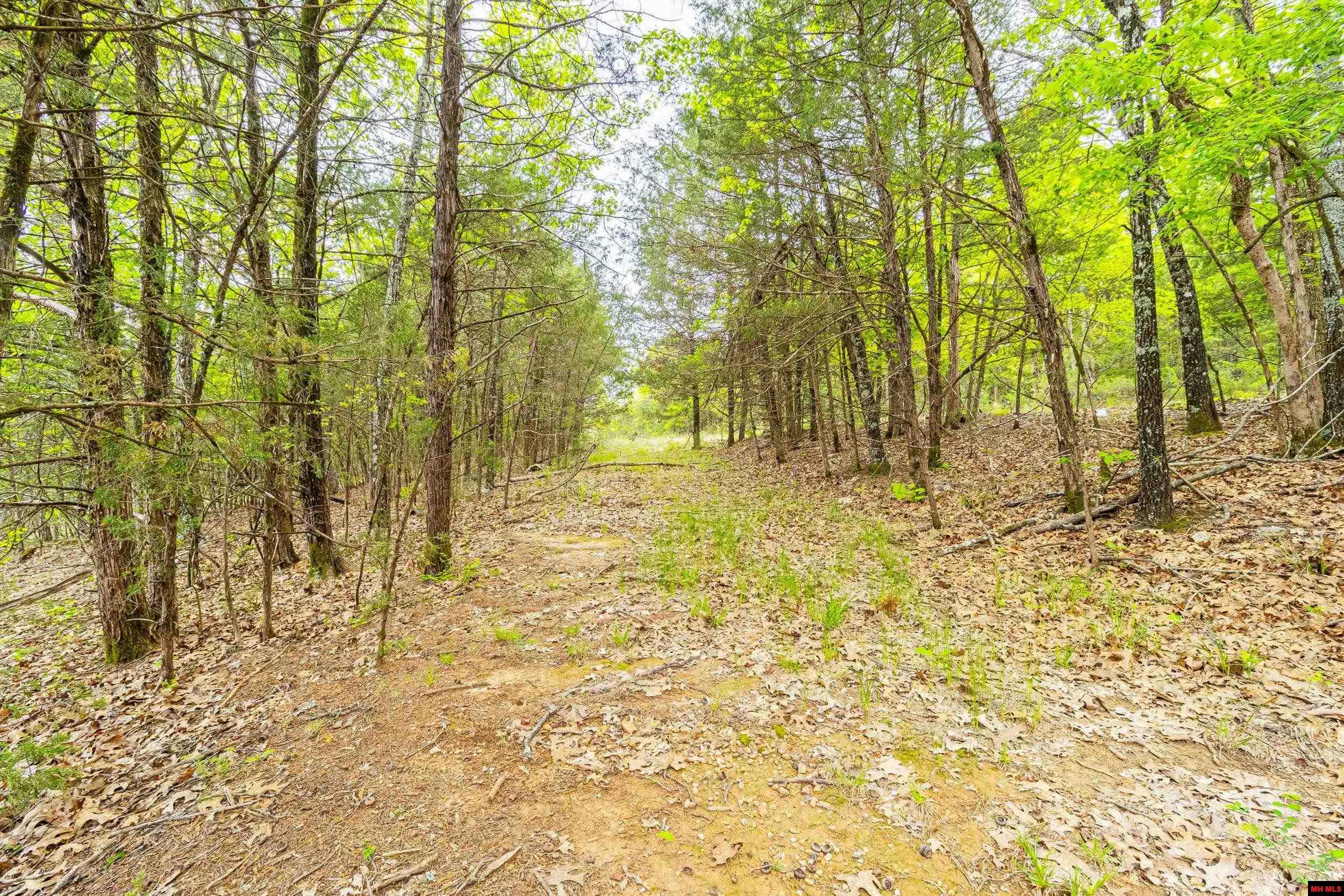 001-03122-000 Mc 125