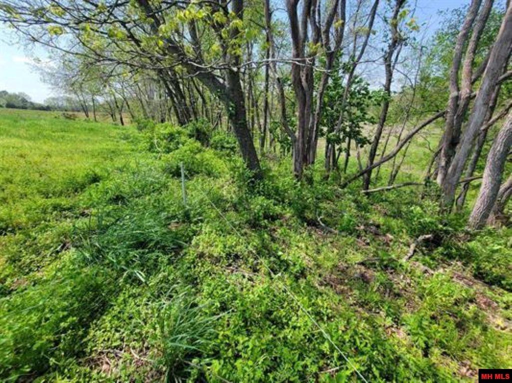 359 CR 138 Wasola, MO 65773