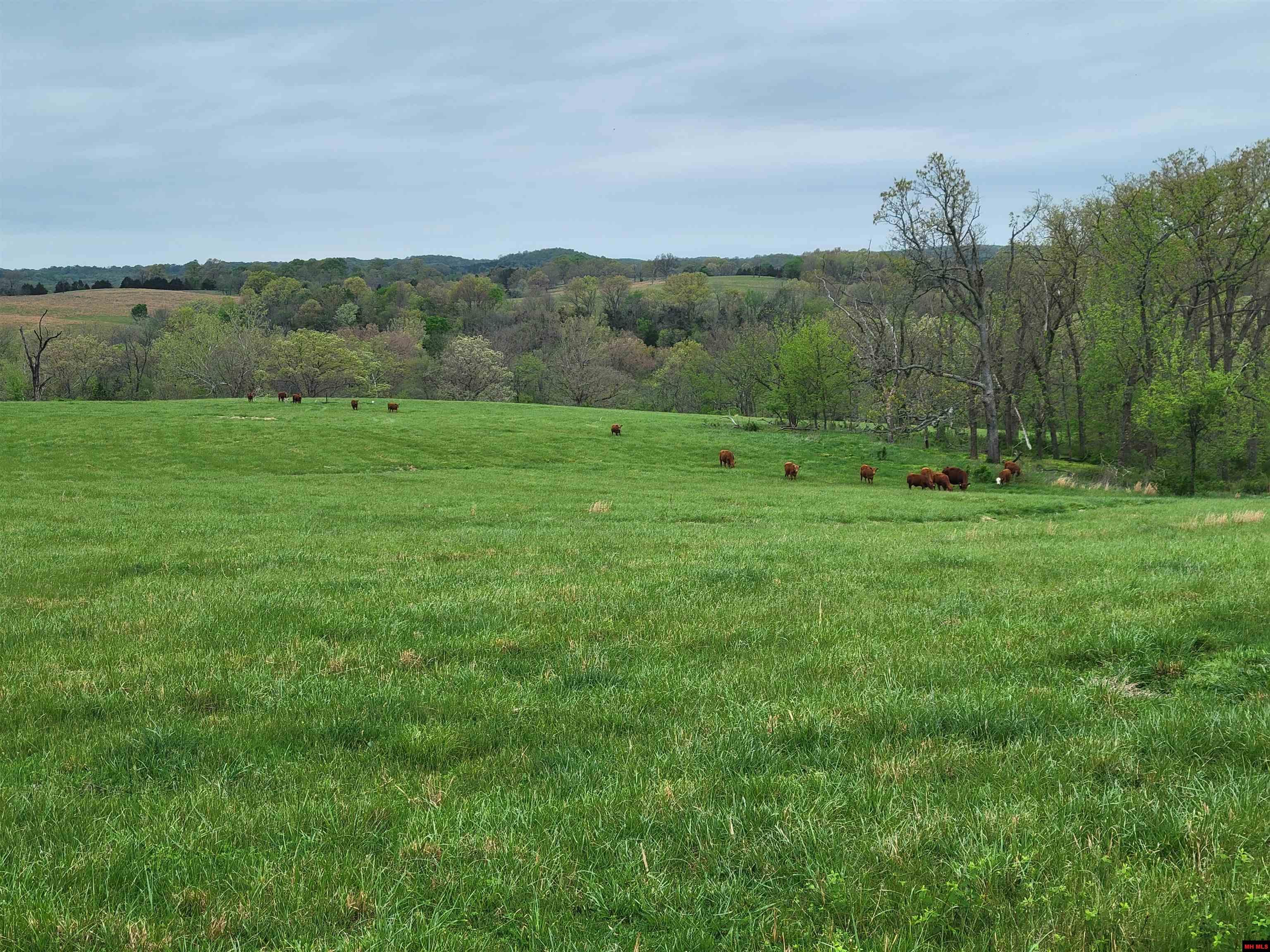 359 CR 138 Wasola, MO 65773