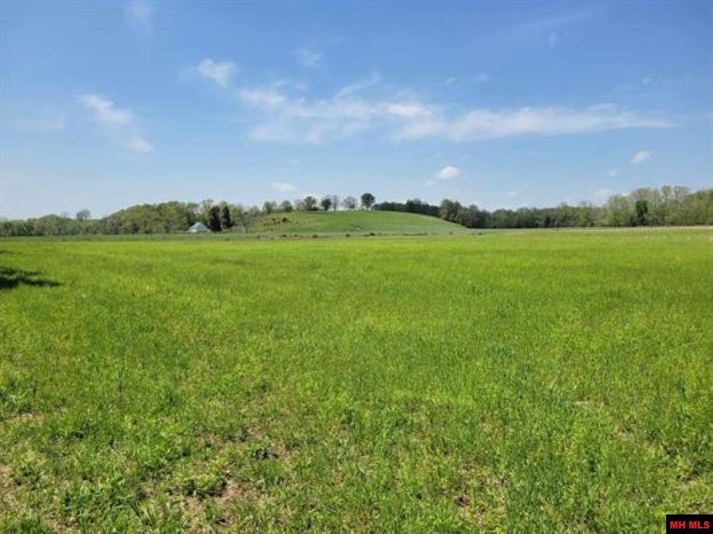 359 CR 138 Wasola, MO 65773