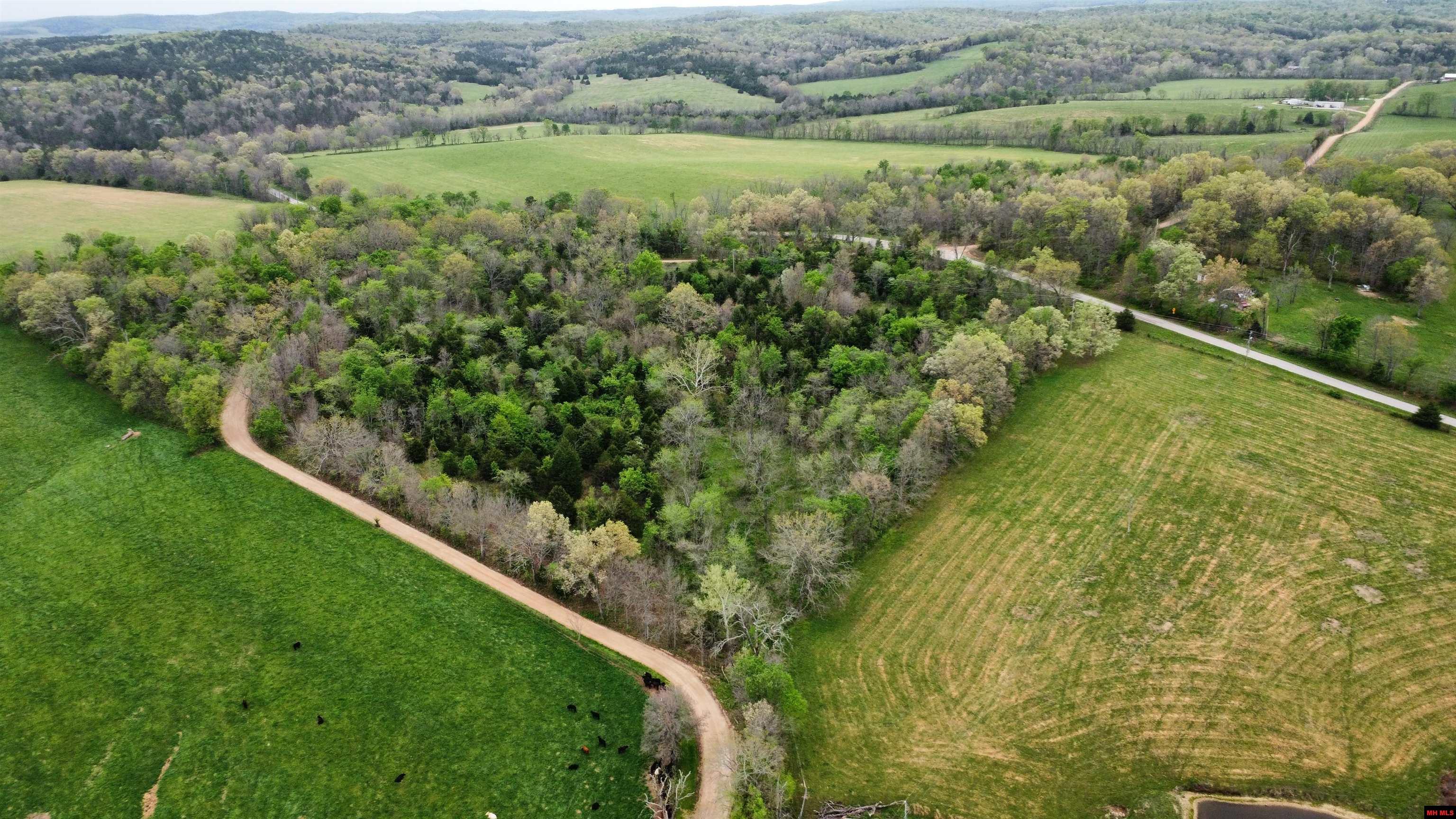 359 CR 138 Wasola, MO 65773