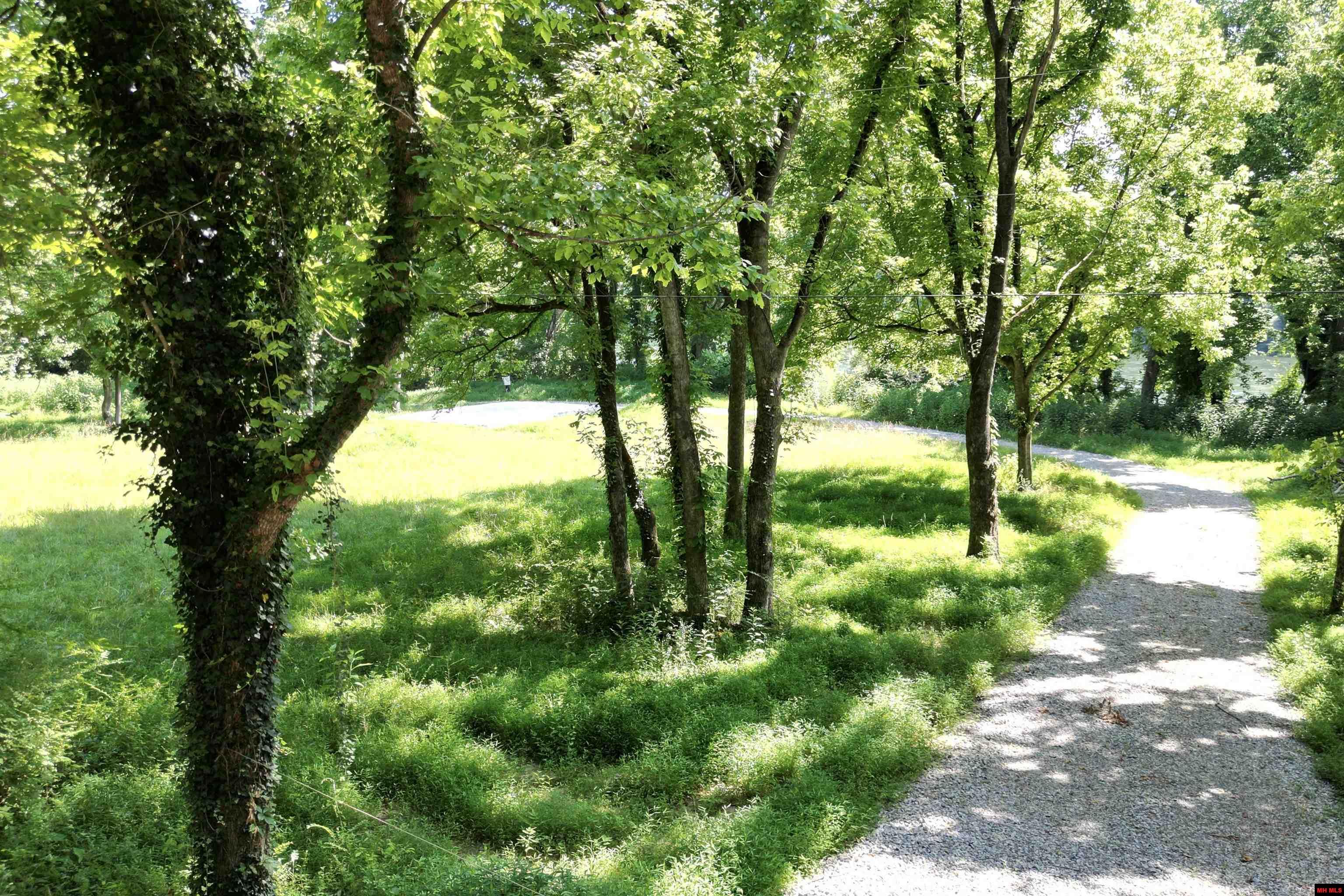 1566 Riverview Drive