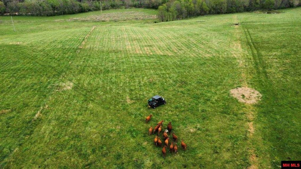 041102000000012 Hwy 95