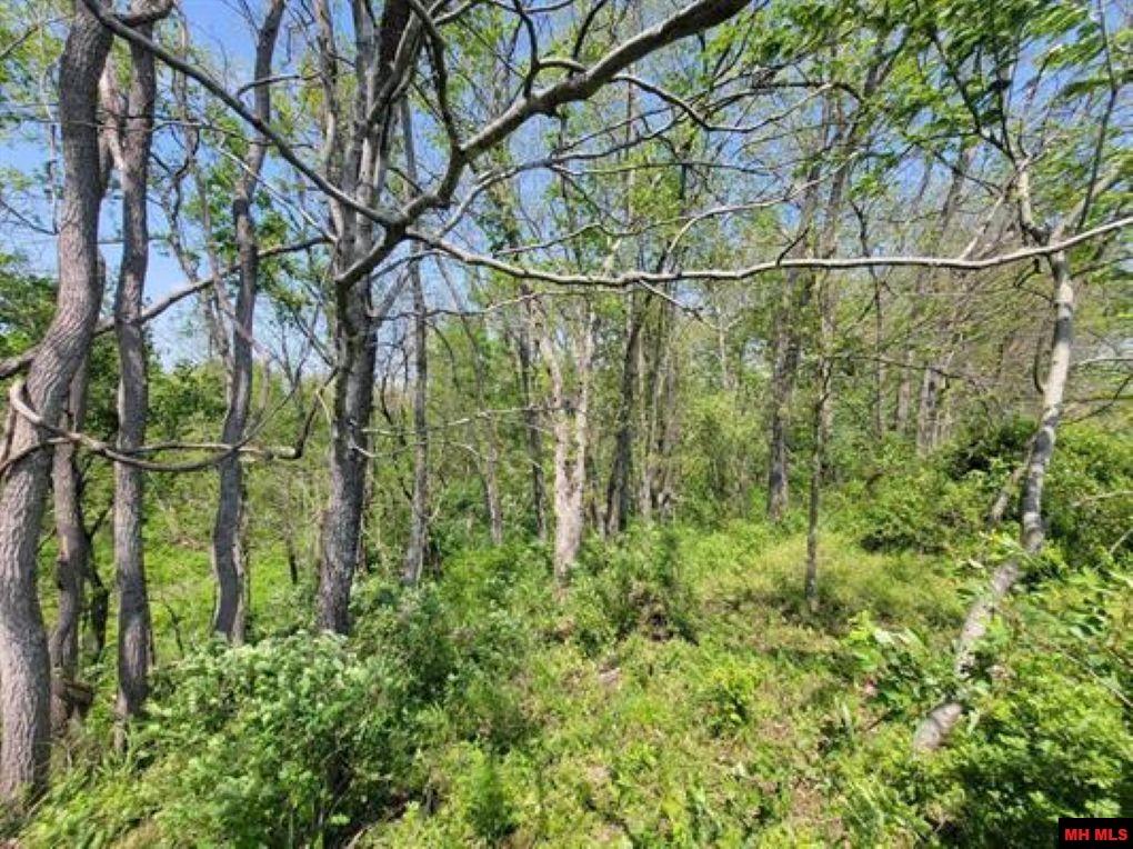 041102000000012 Hwy 95