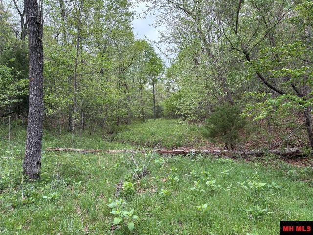4568 MC 5004 Valley Springs, AR 72682