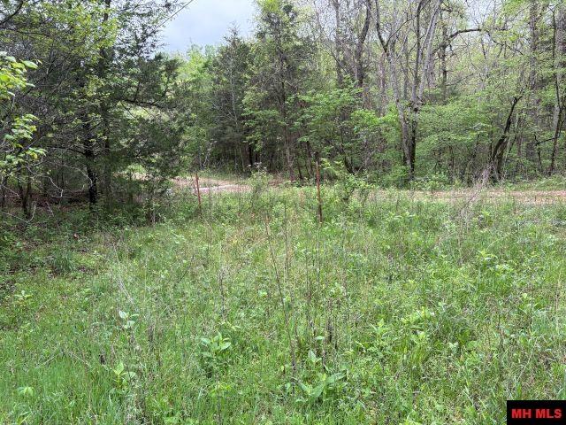 4568 MC 5004 Valley Springs, AR 72682