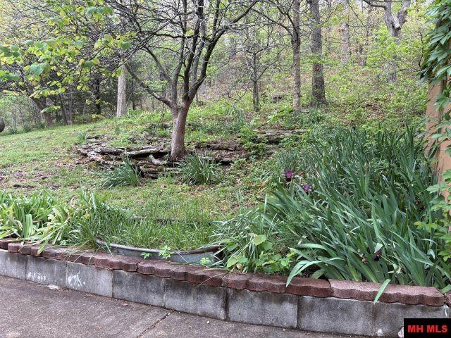 4568 MC 5004 Valley Springs, AR 72682