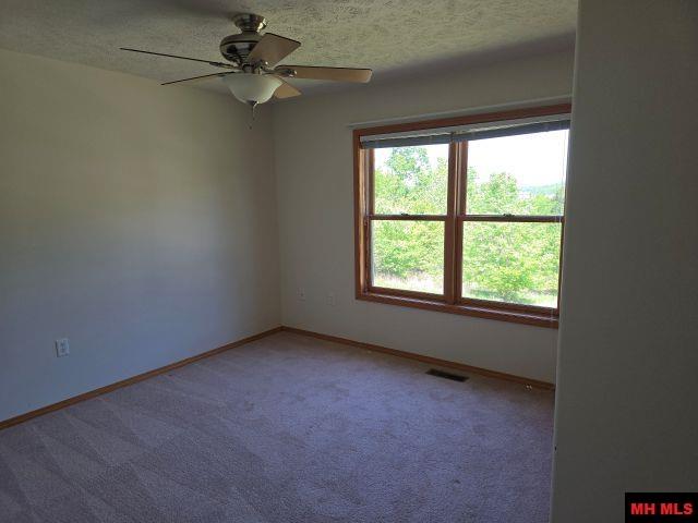 117 FERNCLIFF POINT Bull Shoals, AR 72619