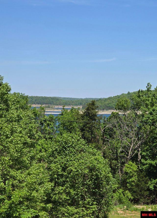 117 FERNCLIFF POINT Bull Shoals, AR 72619