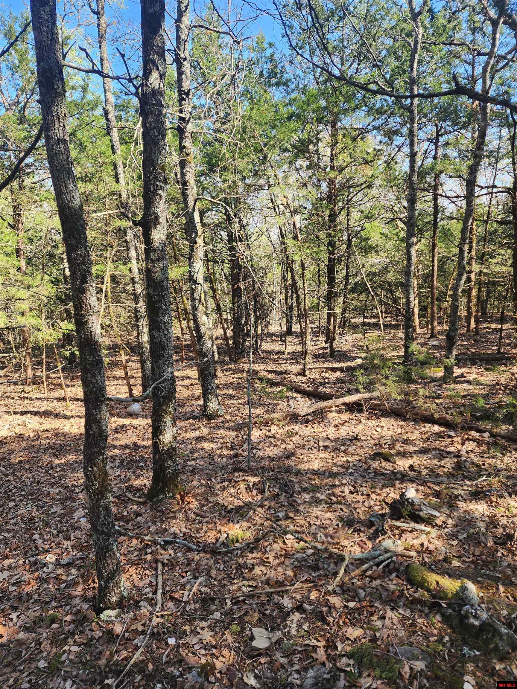 001-06246-000 Mc 8063