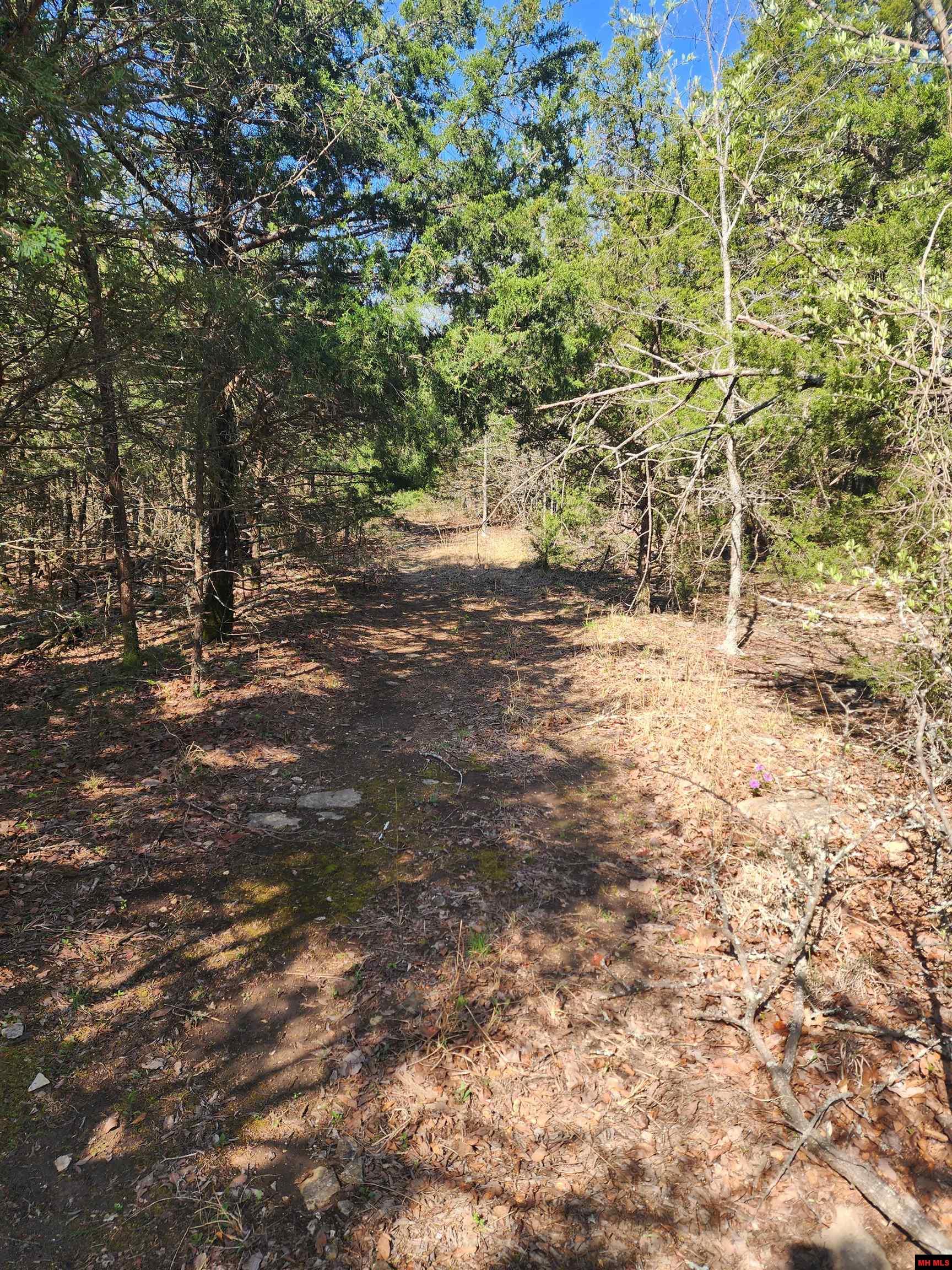 001-06246-000 Mc 8063