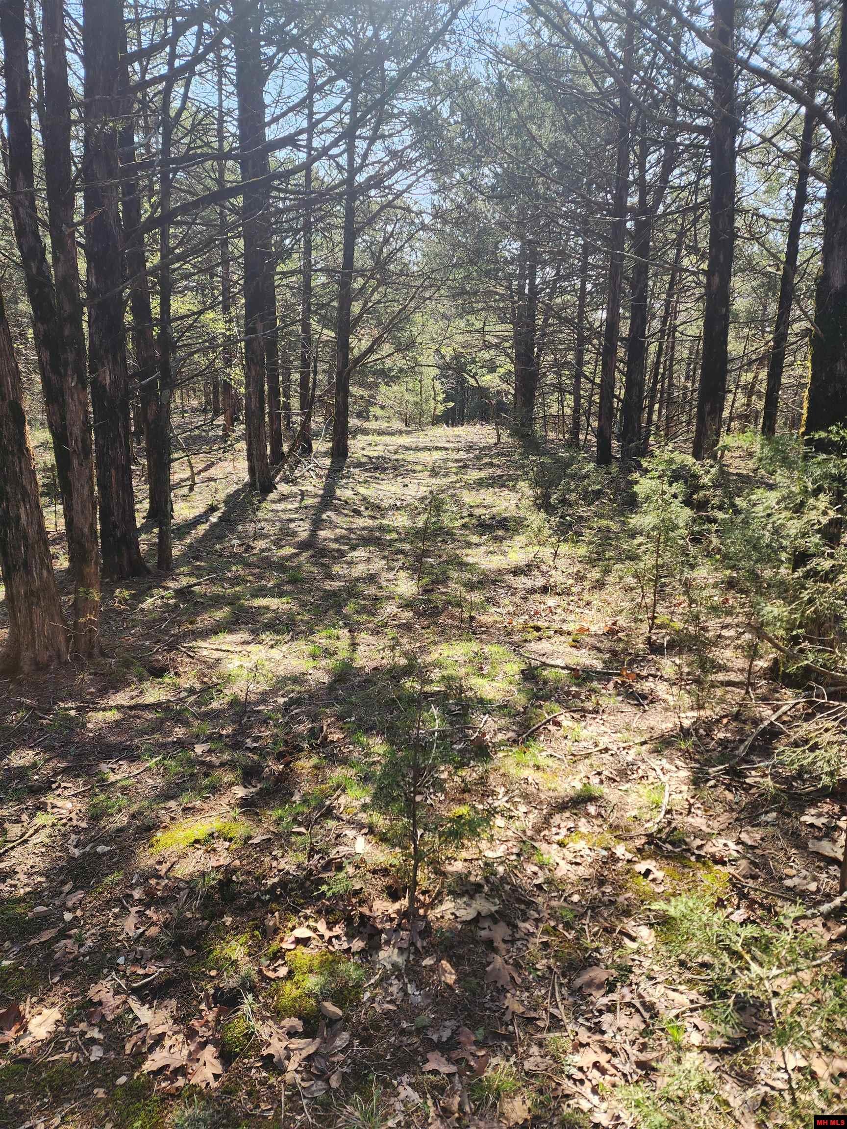 001-06246-000 Mc 8063