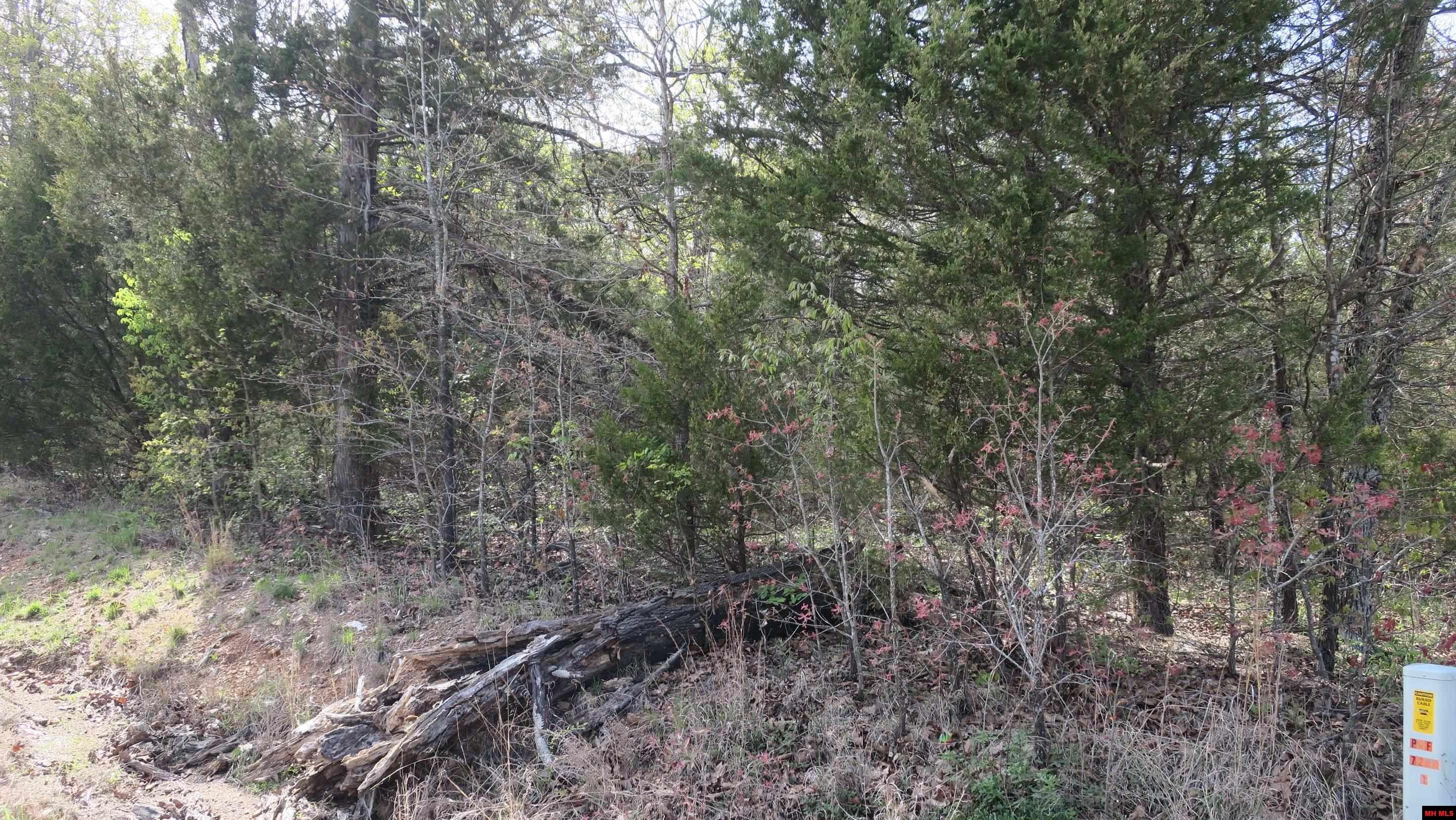 001-03665-000 Hwy 101