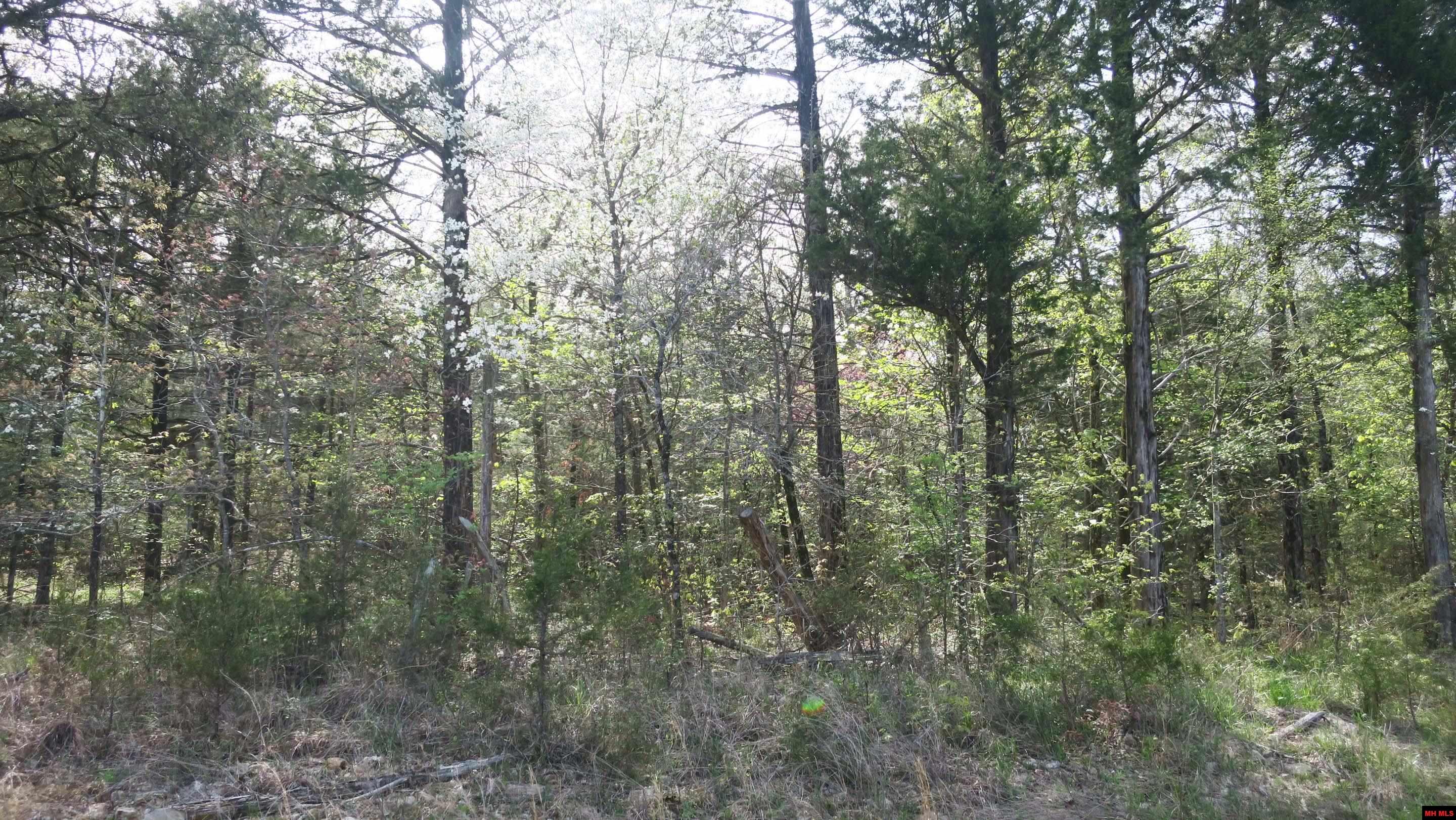 001-03665-000 Hwy 101