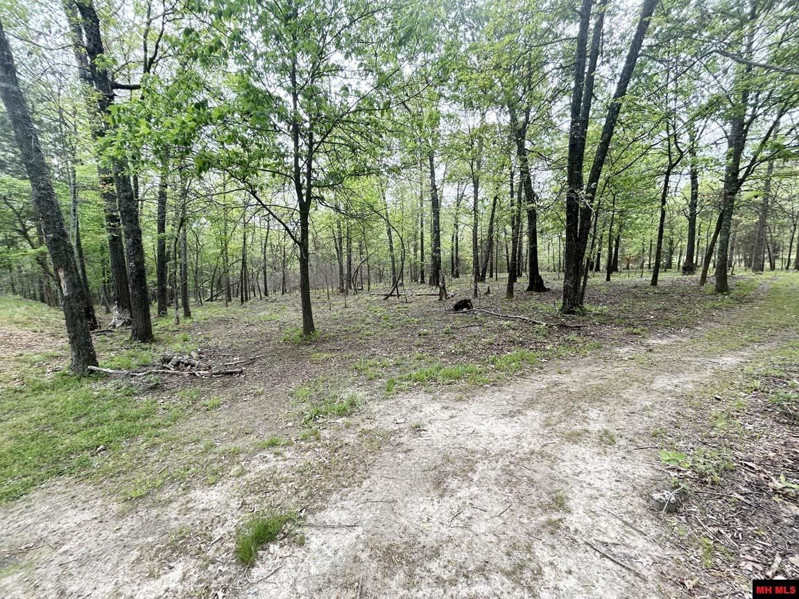 4133 EASY K ROAD Franklin, AR