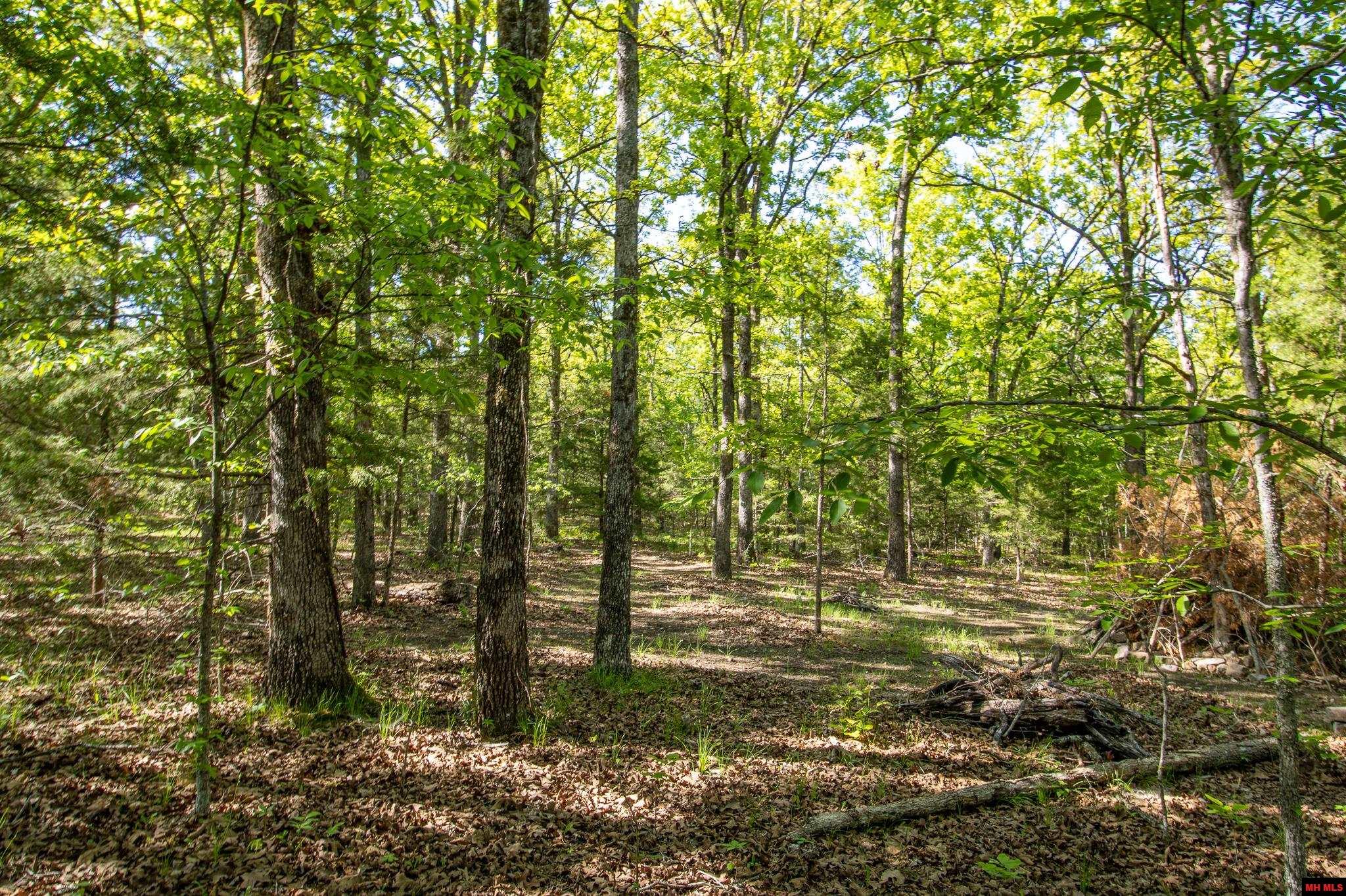 002-02964-000 Cr 476