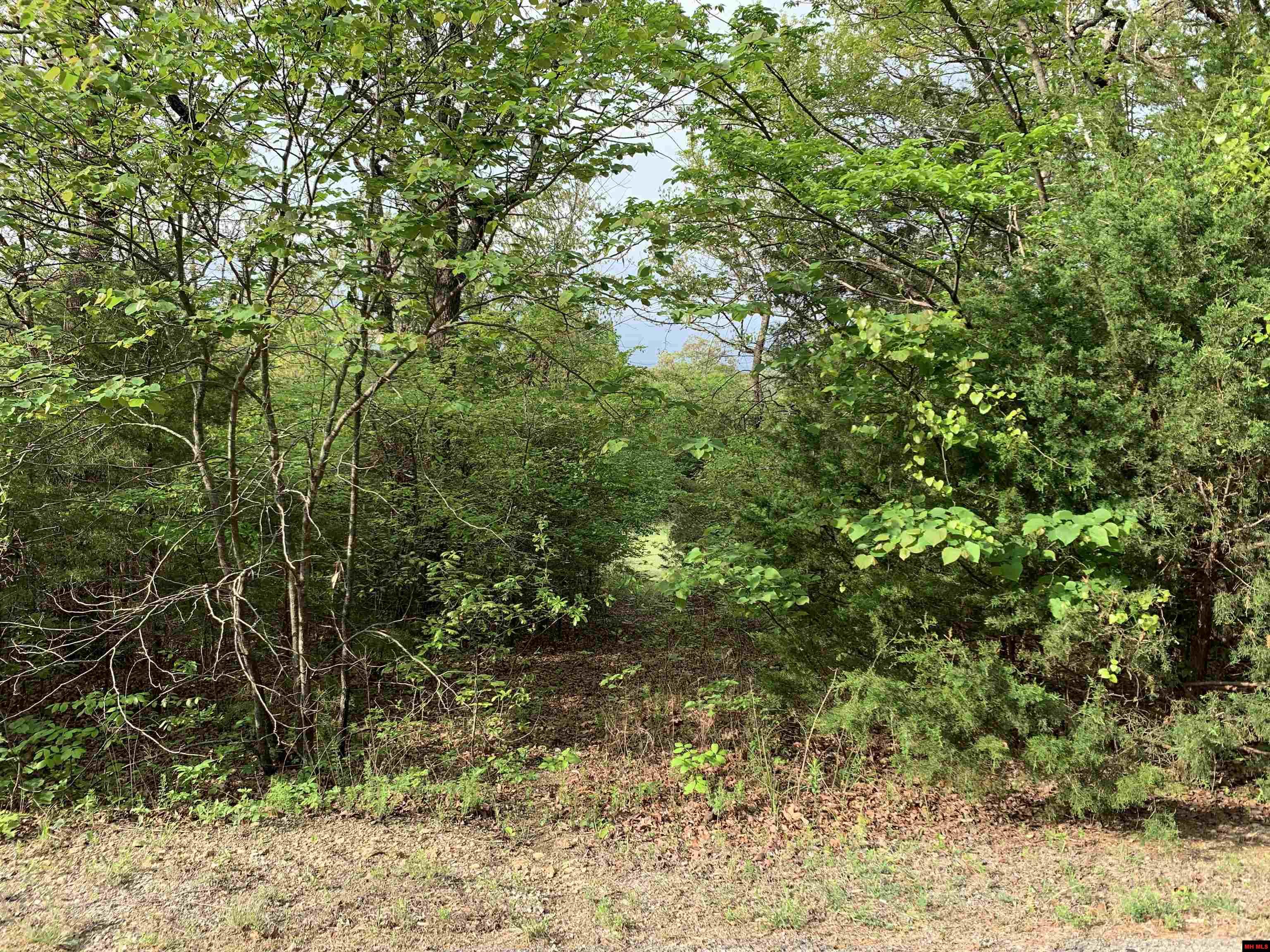 Lot 12 Ascension Drive