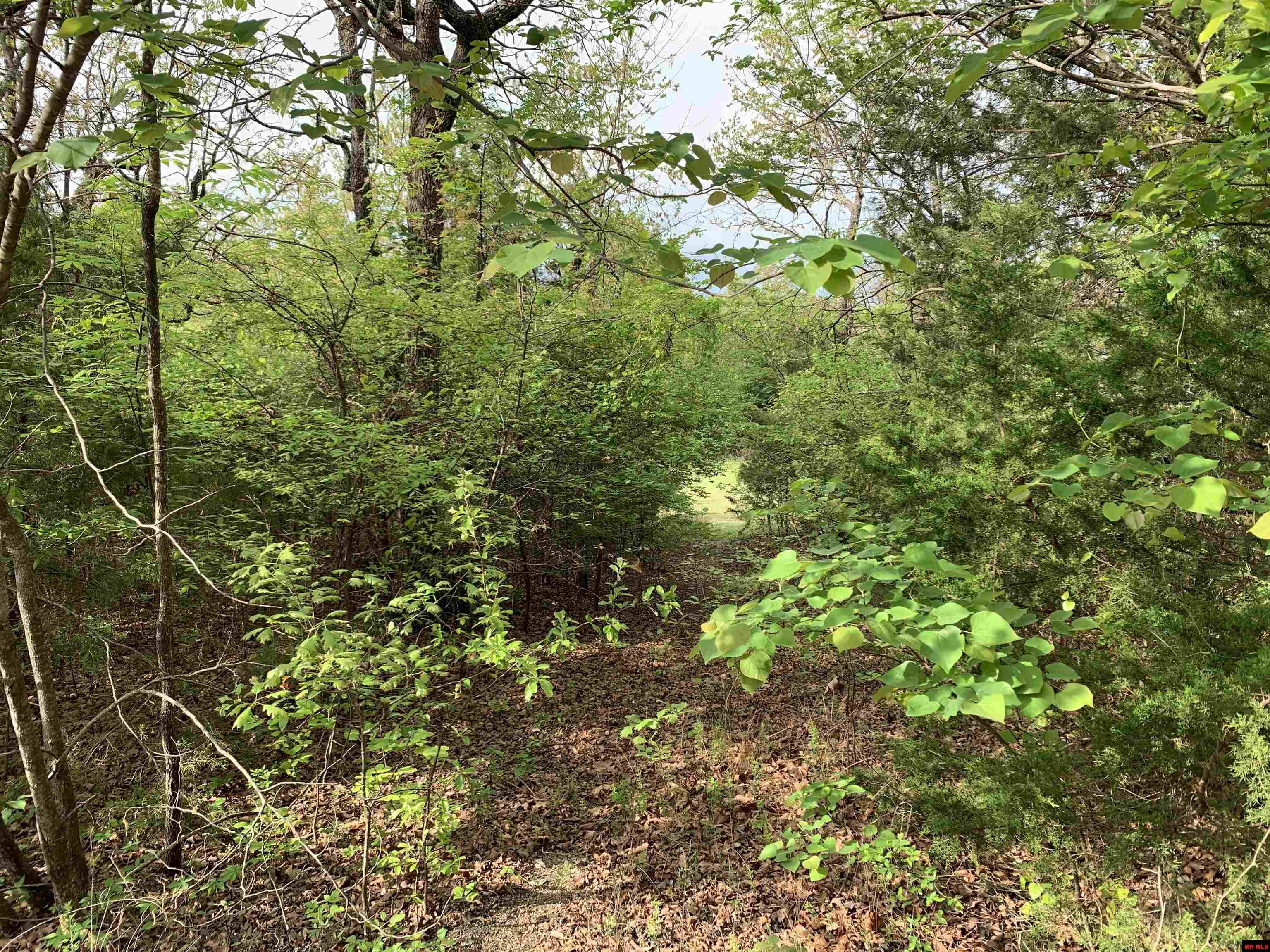 Lot 12 Ascension Drive