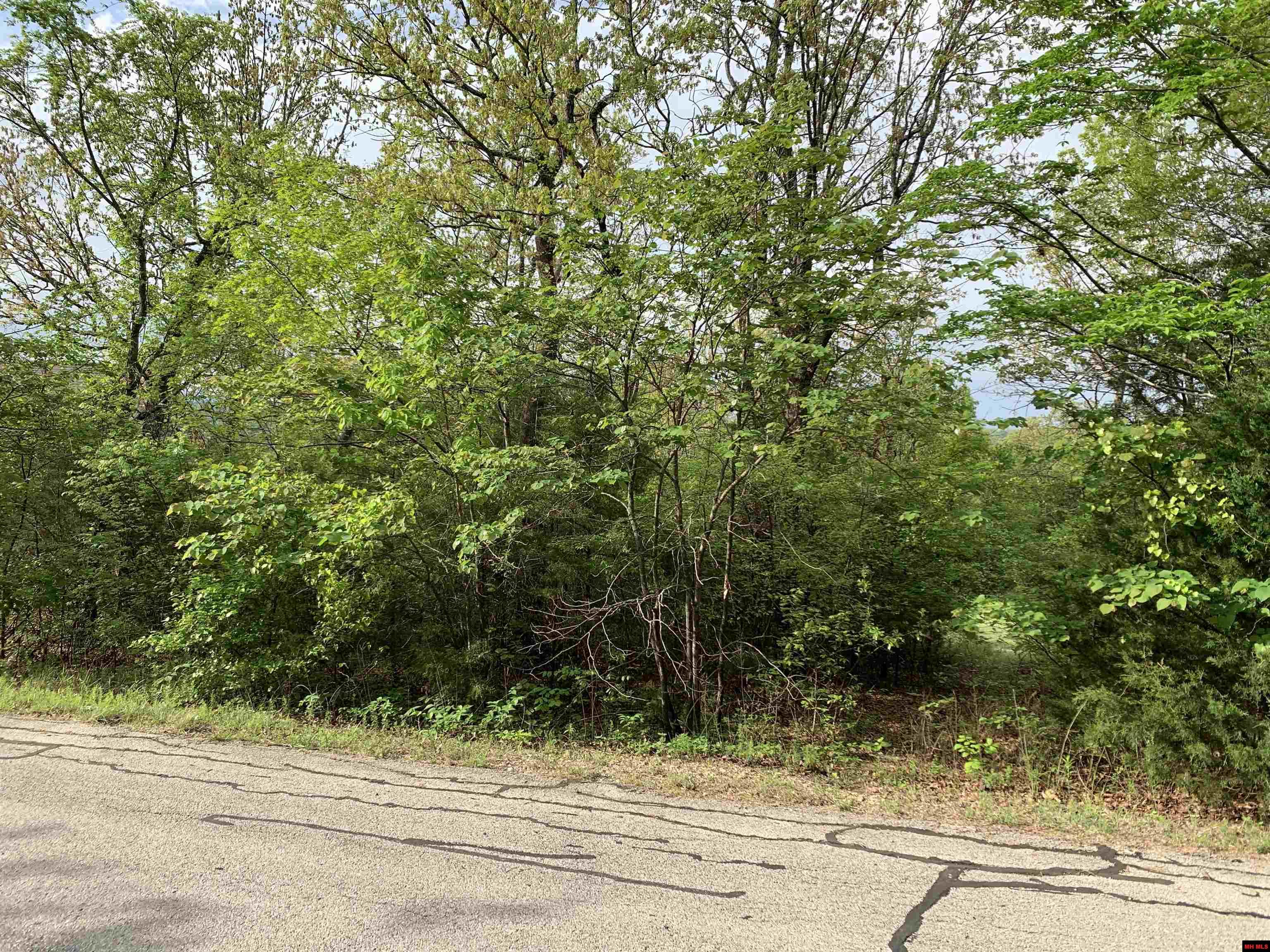 Lot 12 Ascension Drive