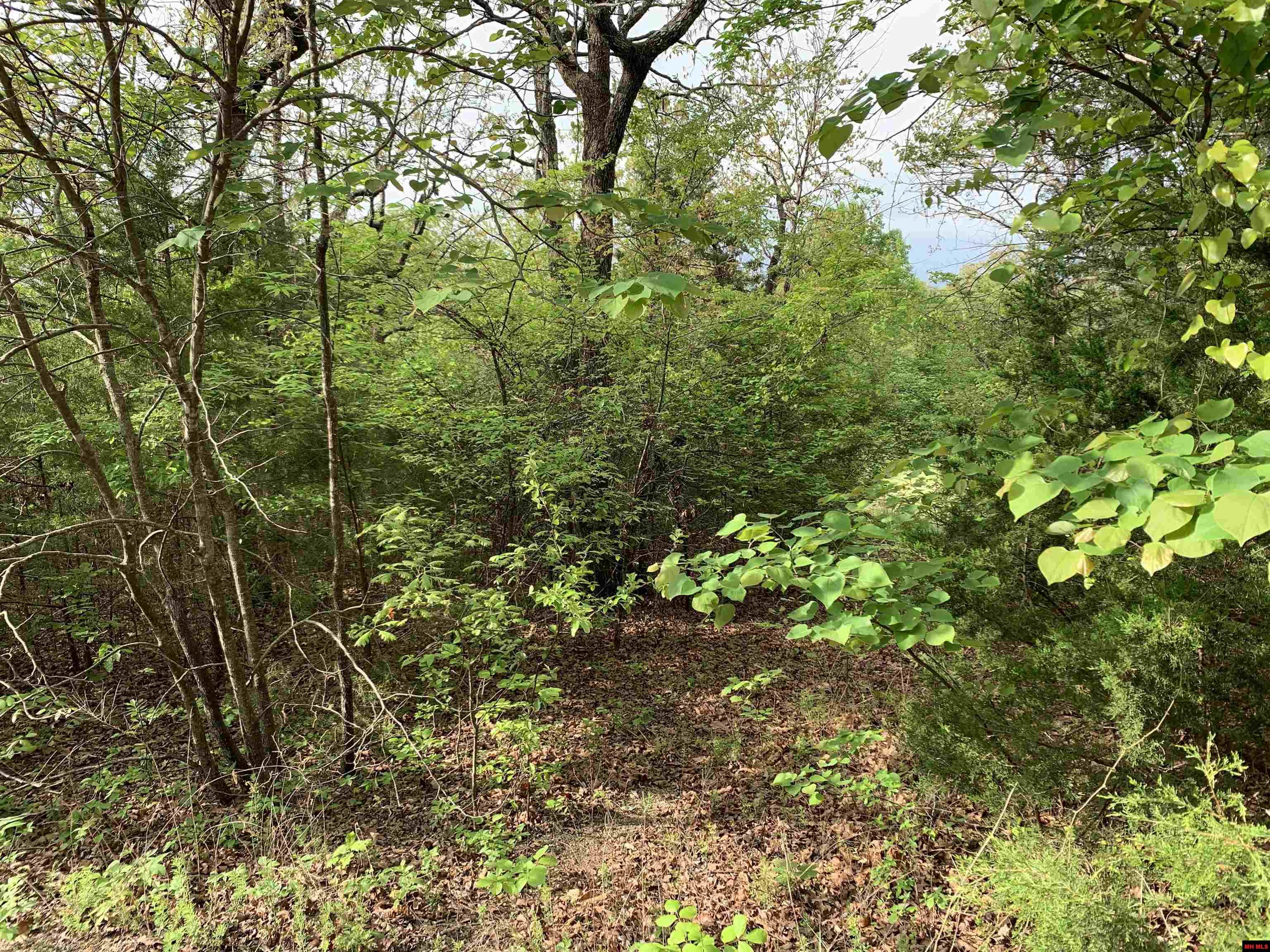 Lot 12 Ascension Drive