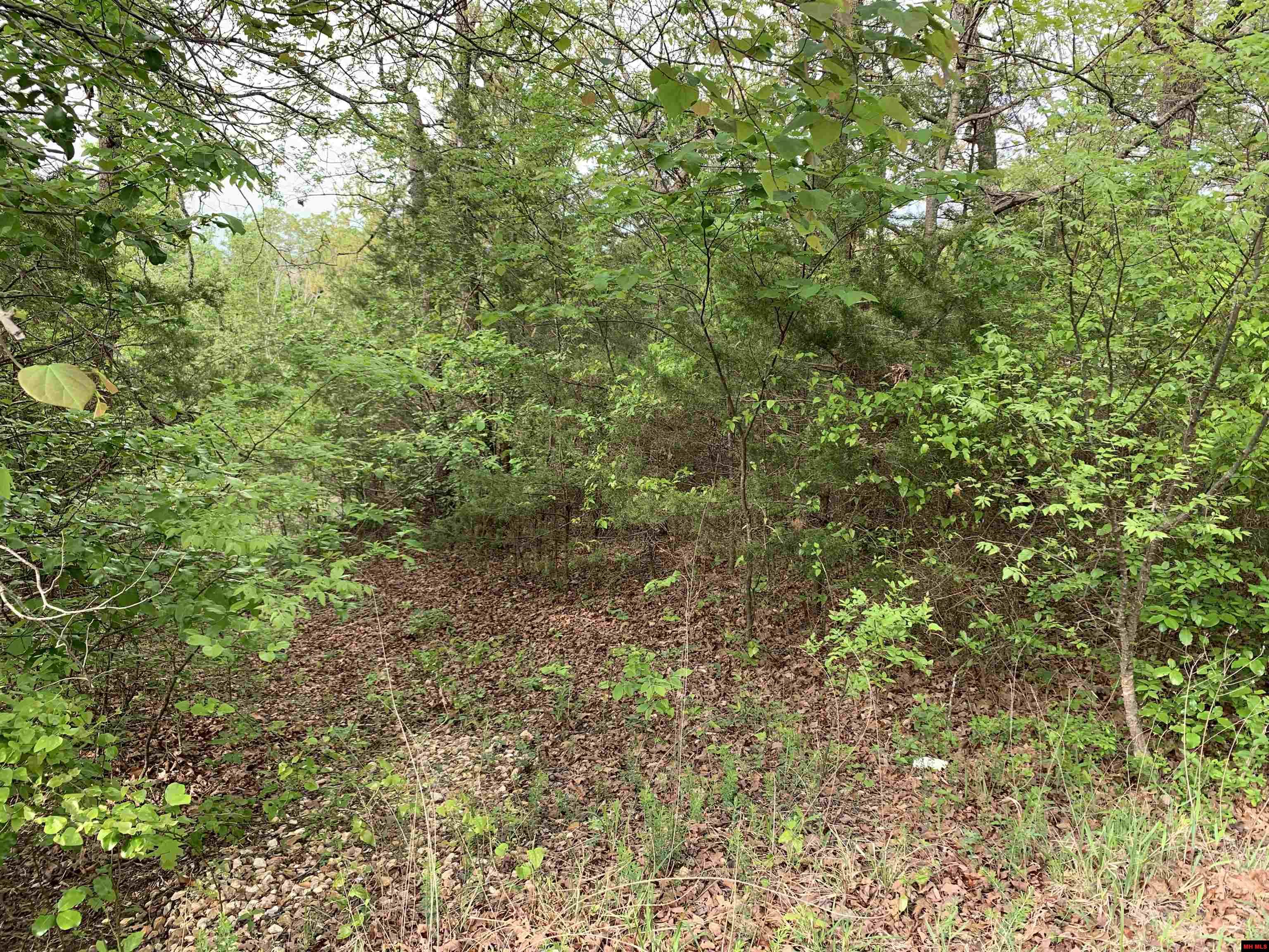 Lot 12 Ascension Drive