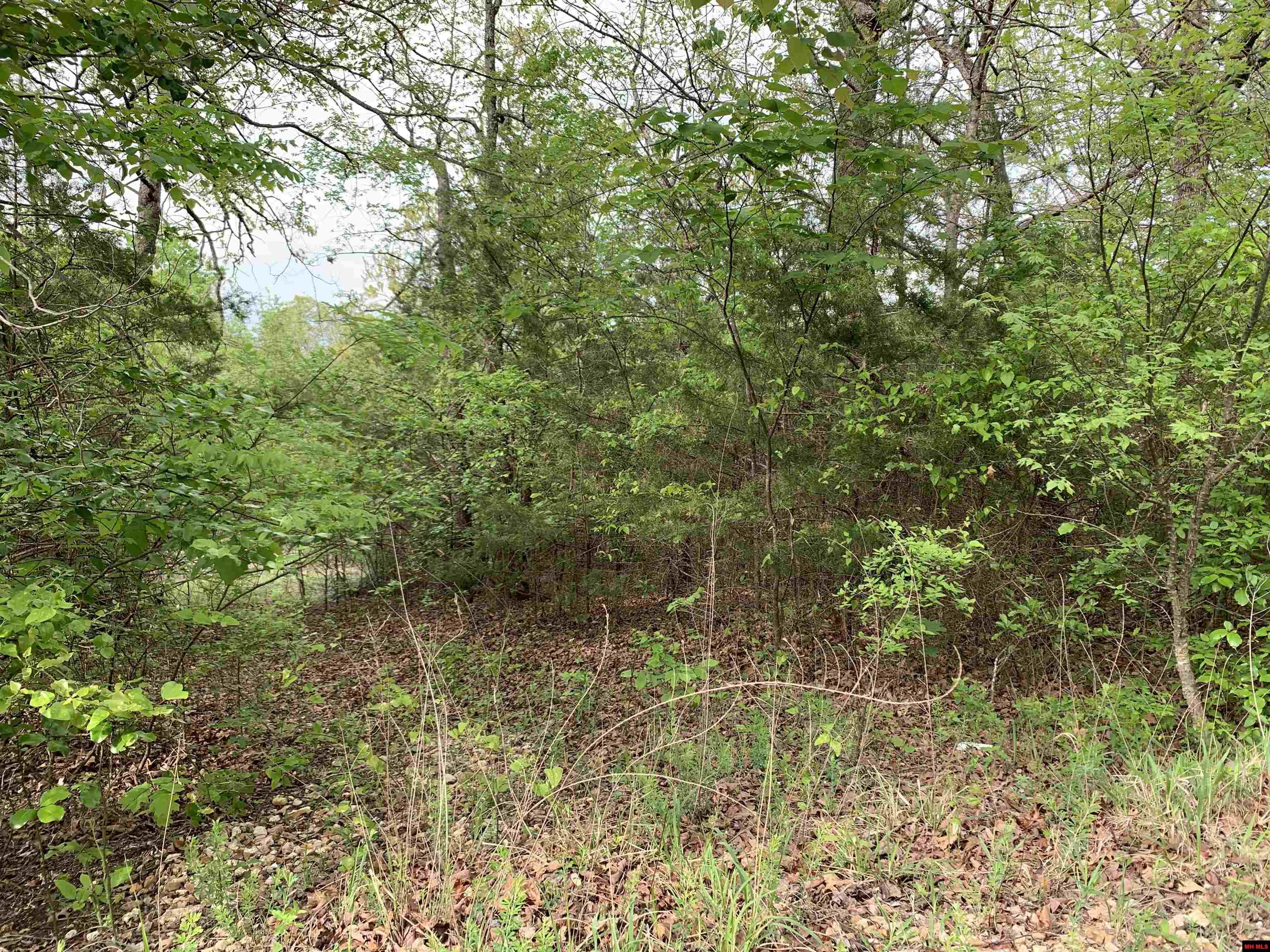 Lot 12 Ascension Drive