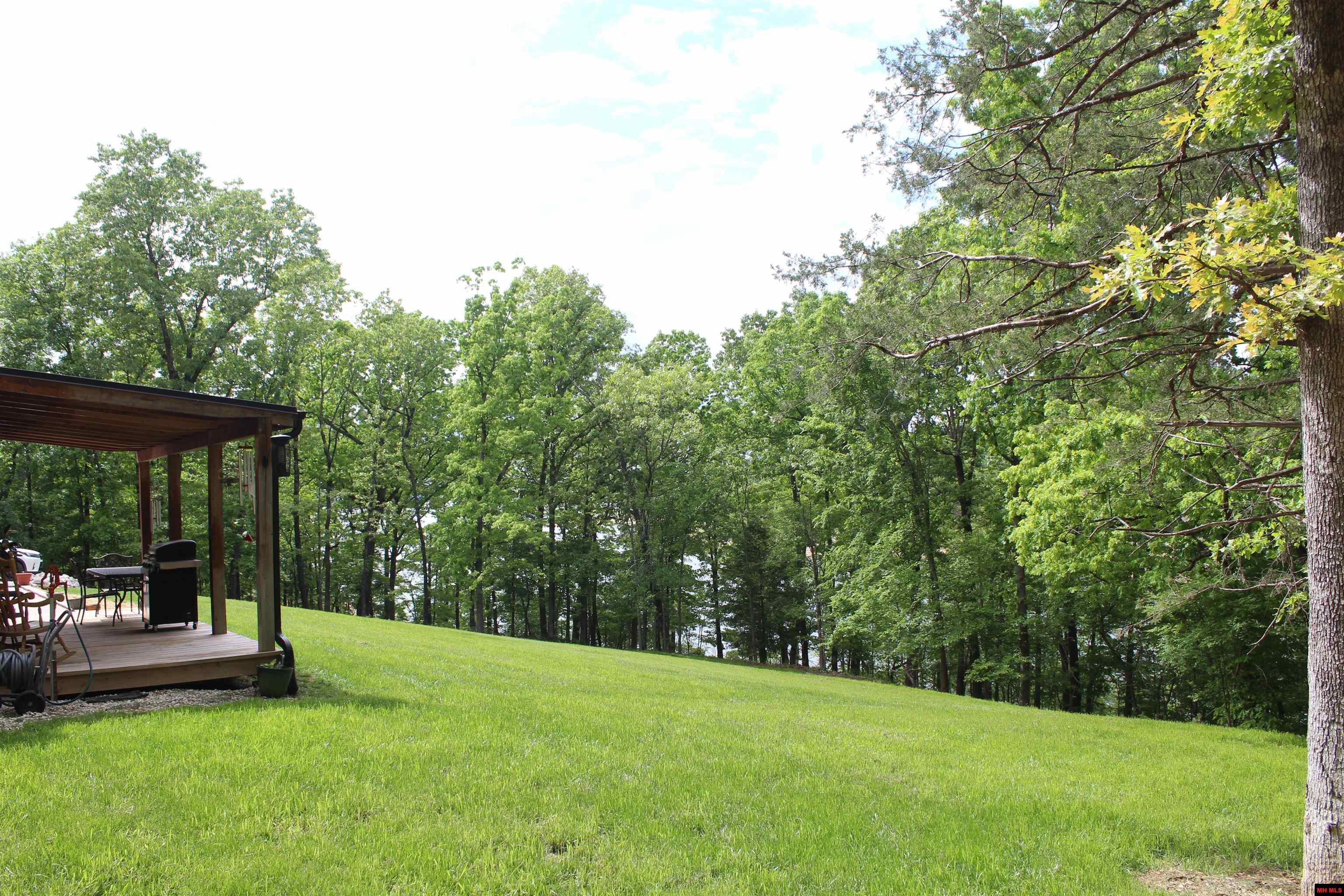 170 BLUE LAKE DRIVE Protem, MO 65733