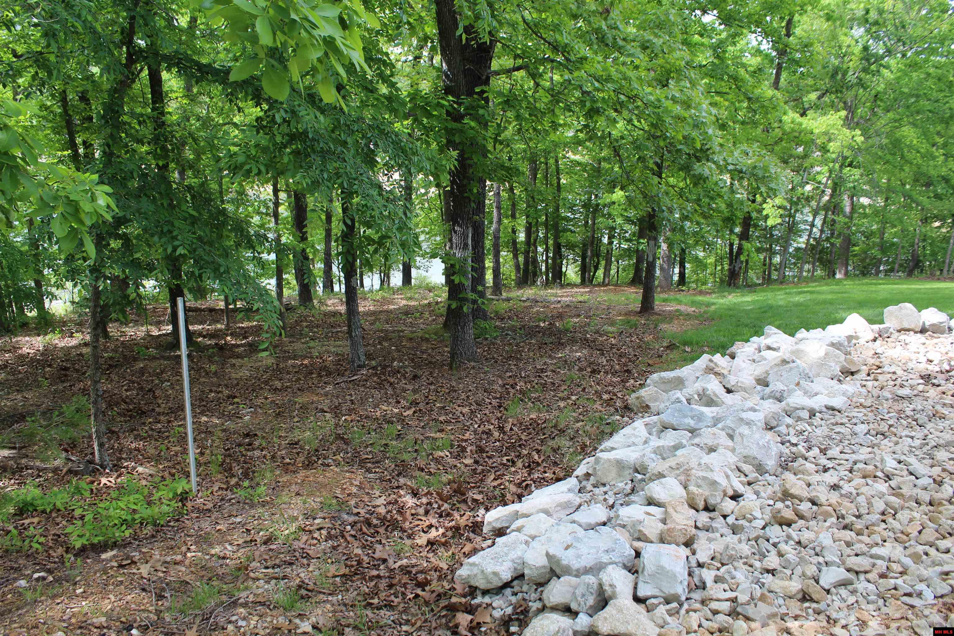 170 BLUE LAKE DRIVE Protem, MO 65733
