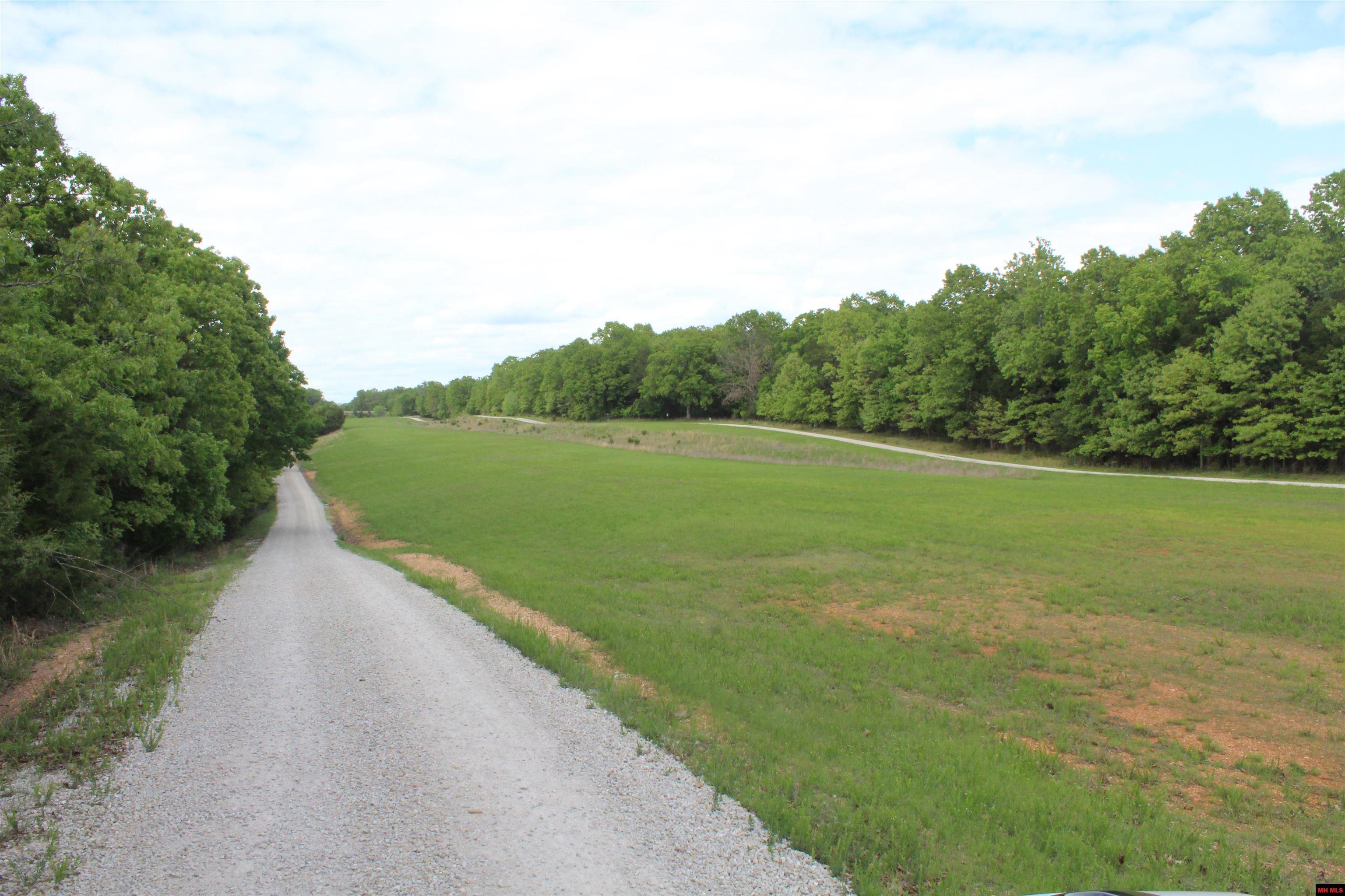 170 BLUE LAKE DRIVE Protem, MO 65733