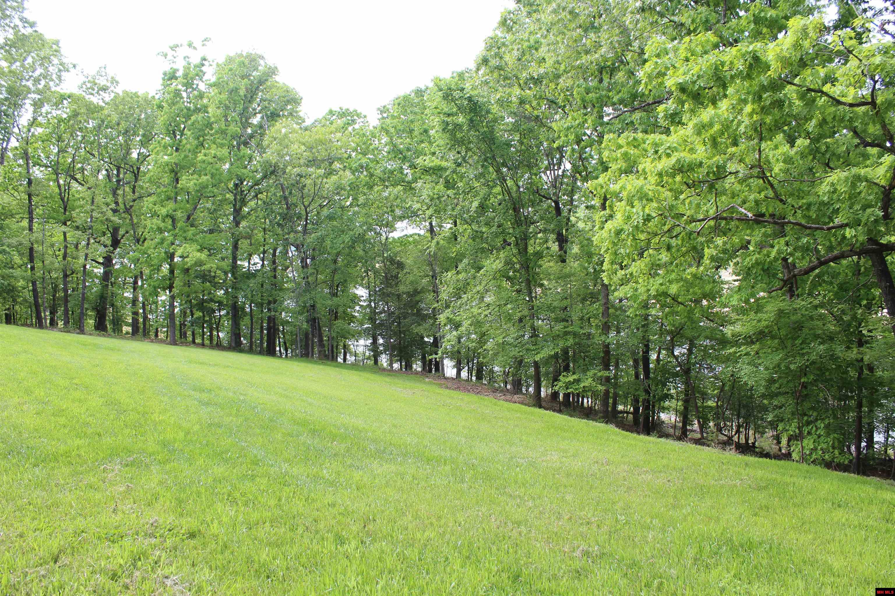 170 BLUE LAKE DRIVE Protem, MO 65733