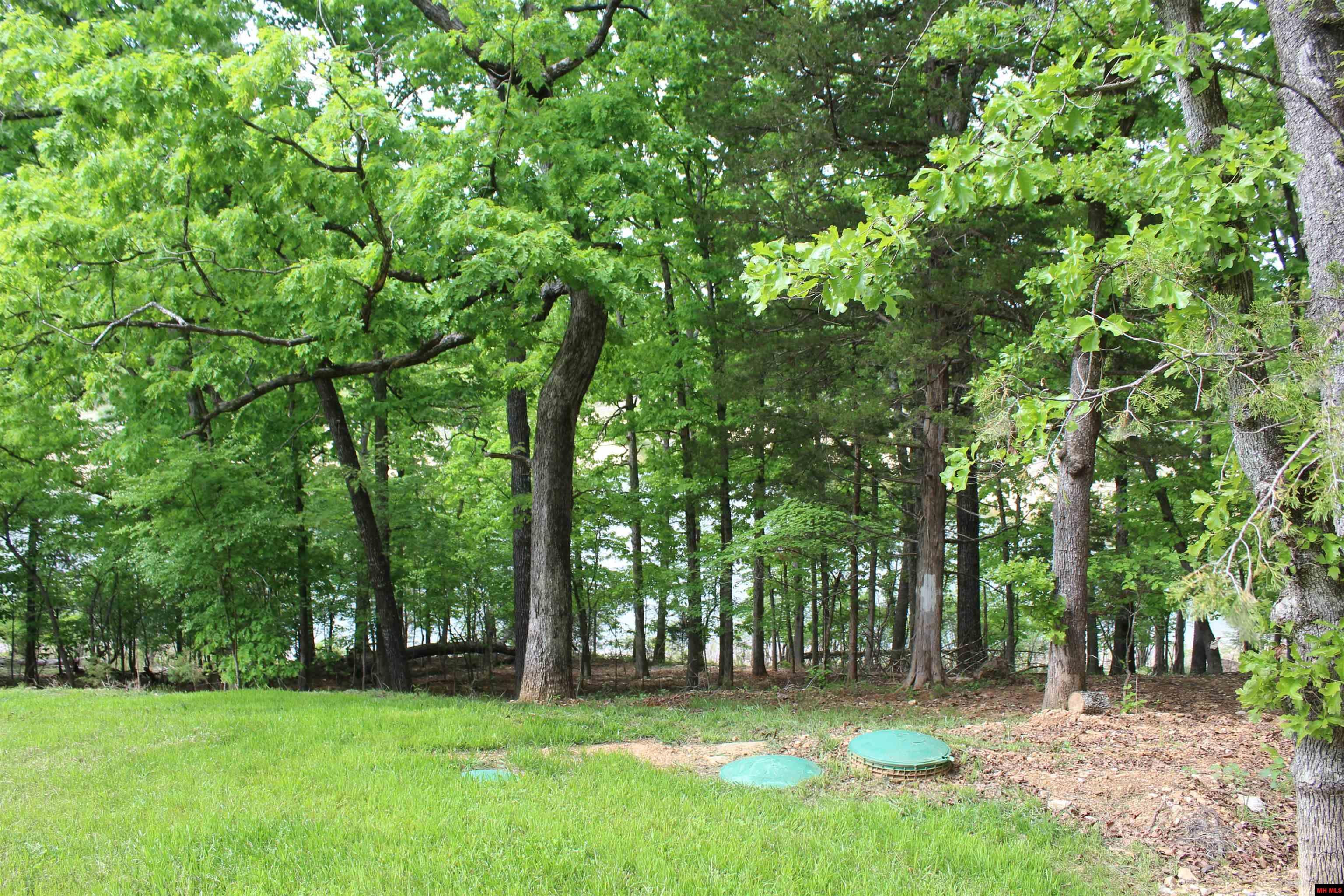 170 BLUE LAKE DRIVE Protem, MO 65733
